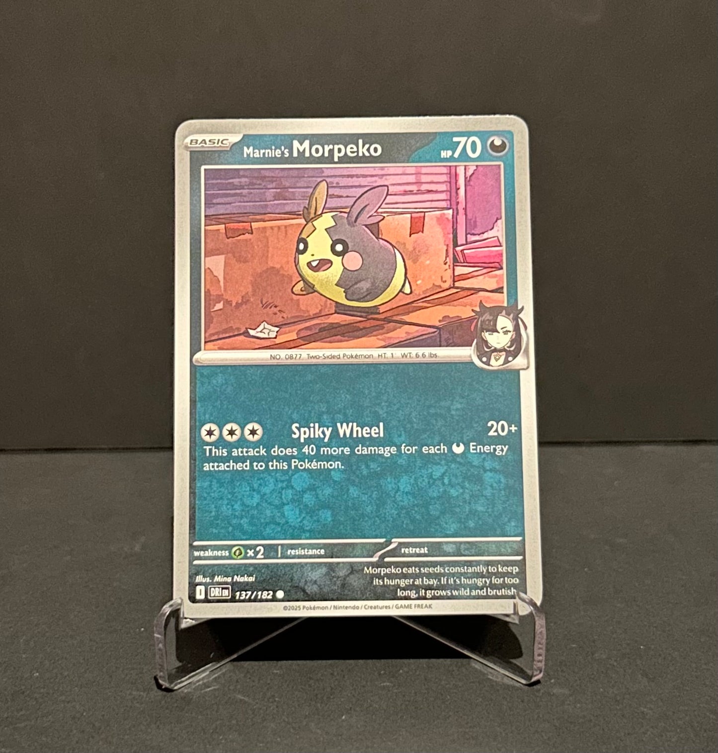 TCG Single: Marnie’s Morpeko - Destined Rivals