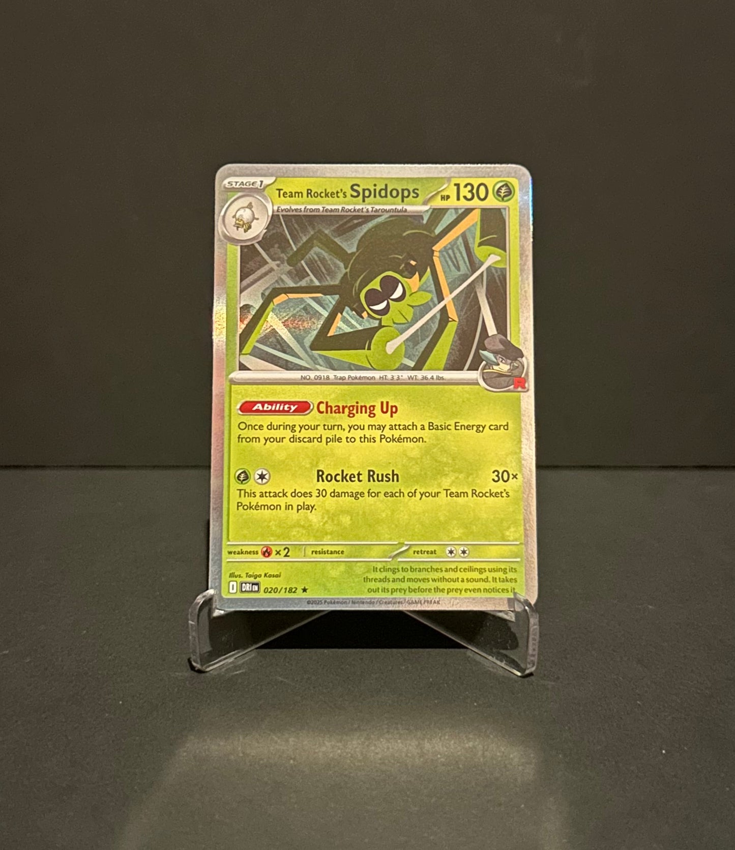 TCG Single: Team Rocket’s Spidops - Destined Rivals