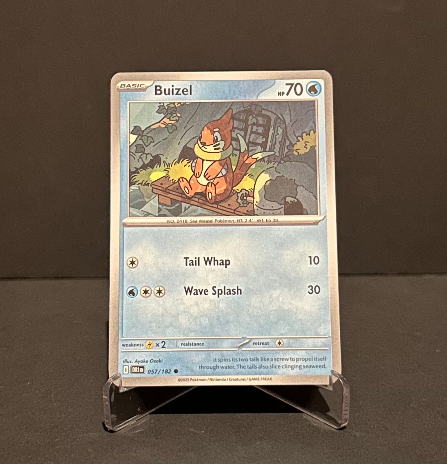 TCG Single: Buizel - Destined Rivals