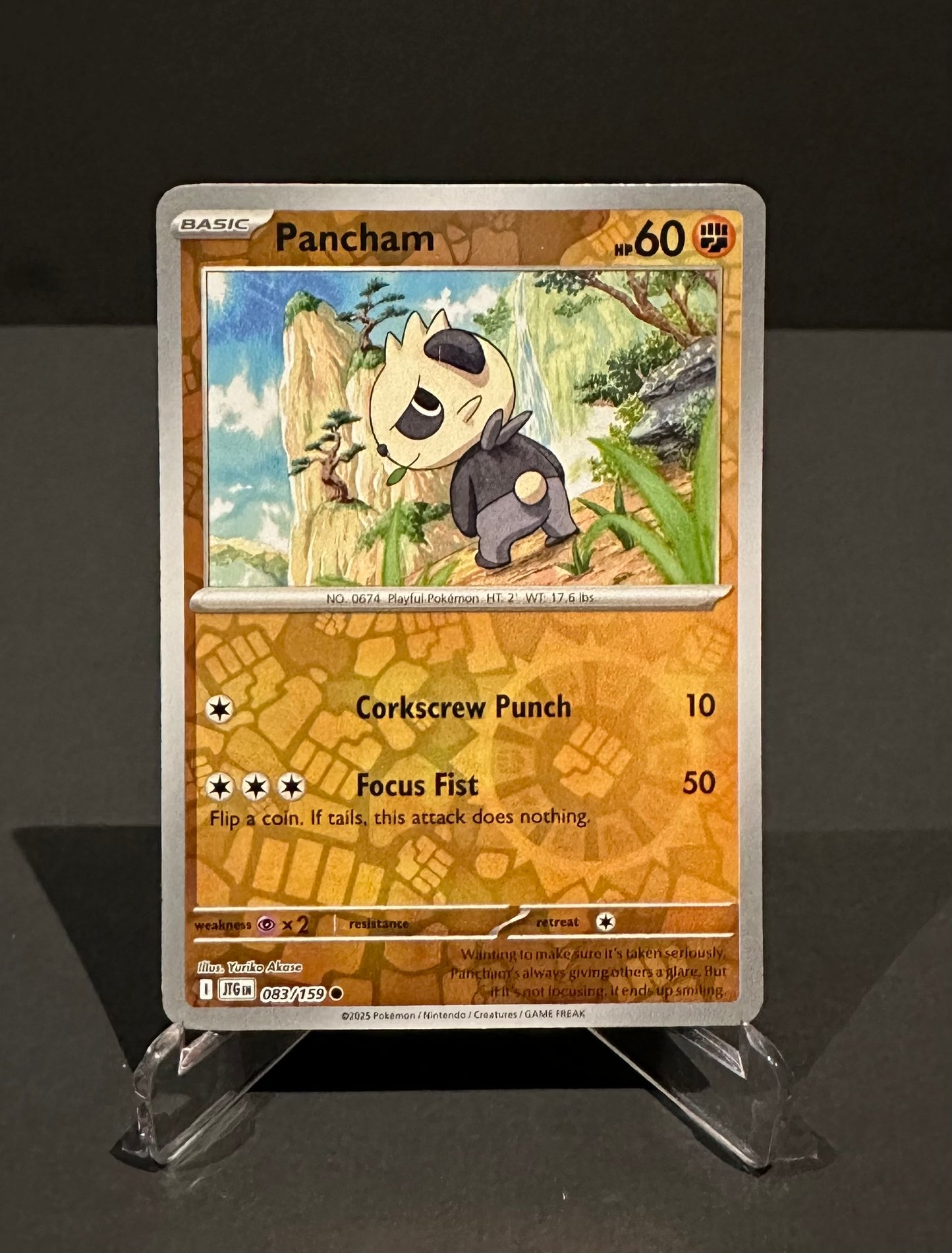 TCG Single: Pancham (RH) - Journey Together