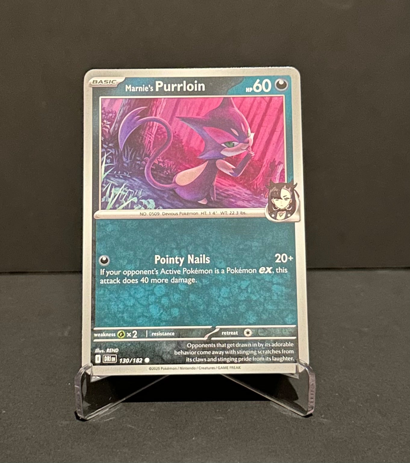 TCG Single: Marnie’s Purrloin - Destined Rivals