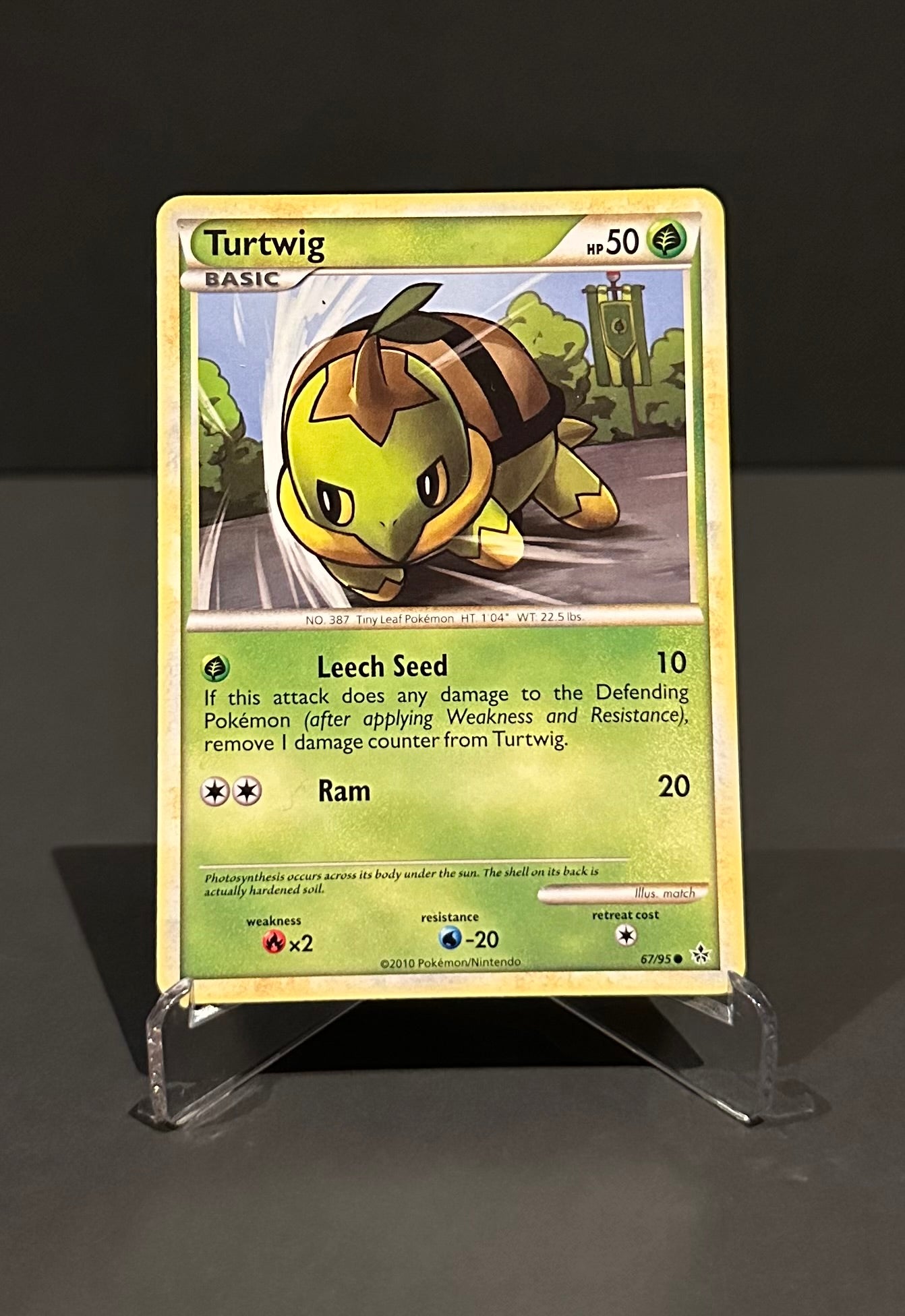 TCG Single: Turtwig - Unleashed