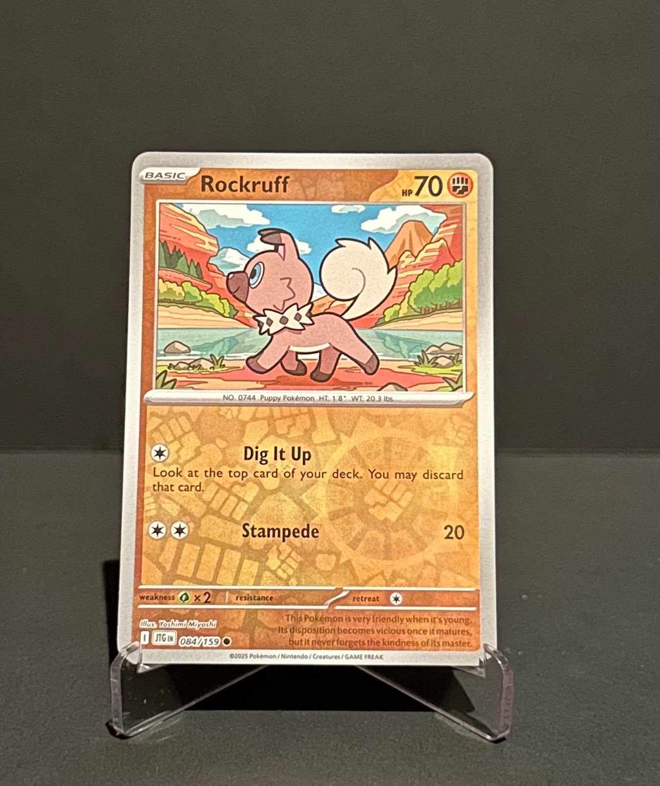 TCG Single: Rockruff (RH) - Journey Together