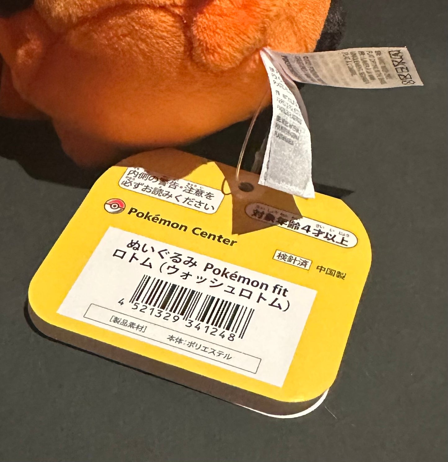 Wash Rotom (Pokemon Fit)