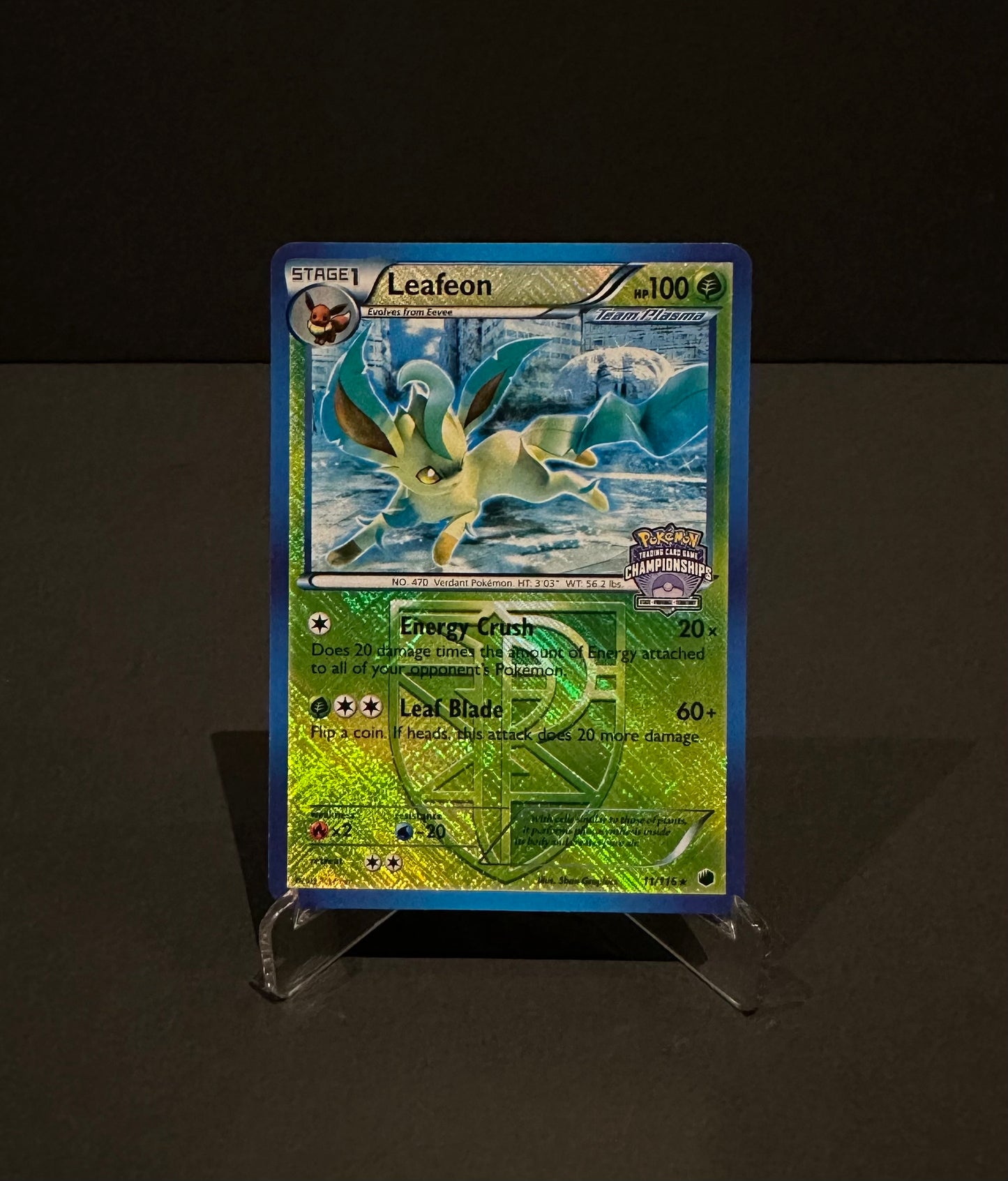 State Championships promo: Leafeon