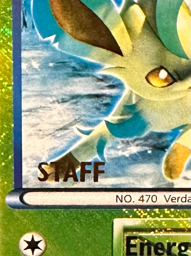 Regional Championships promo: Leafeon (STAFF)