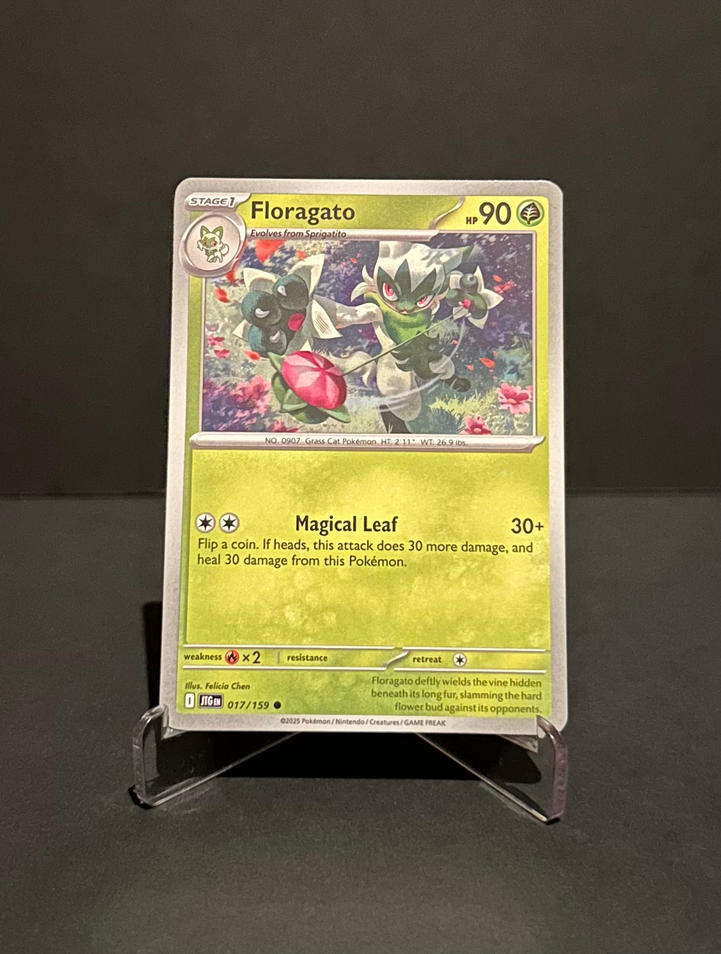 TCG Single: Floragato - Journey Together