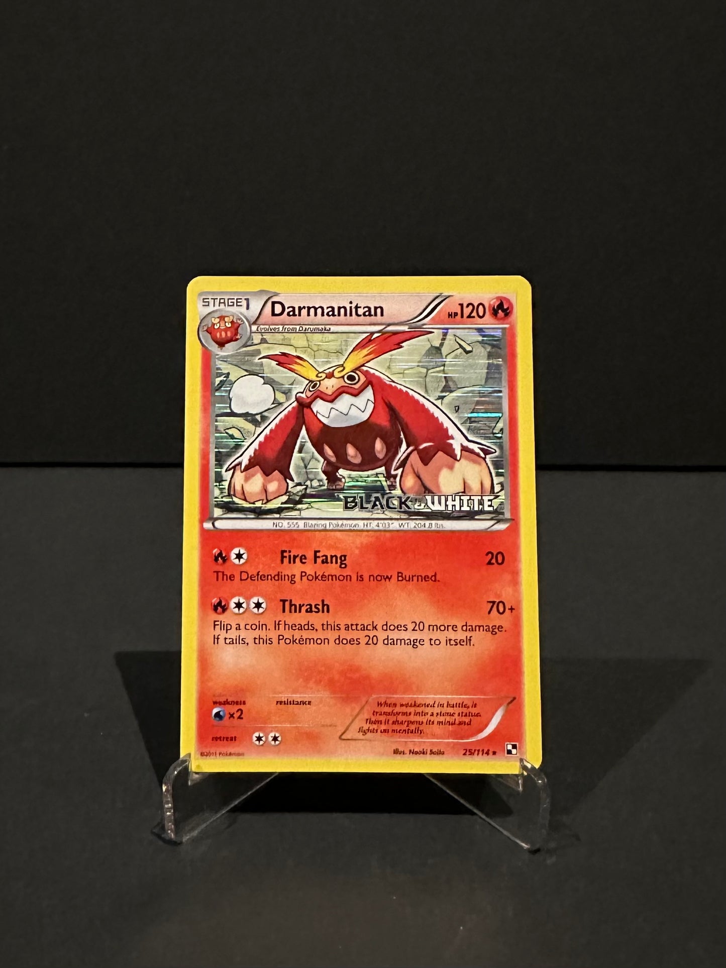 TCG Single: Darmanitan - Pre Release Promo