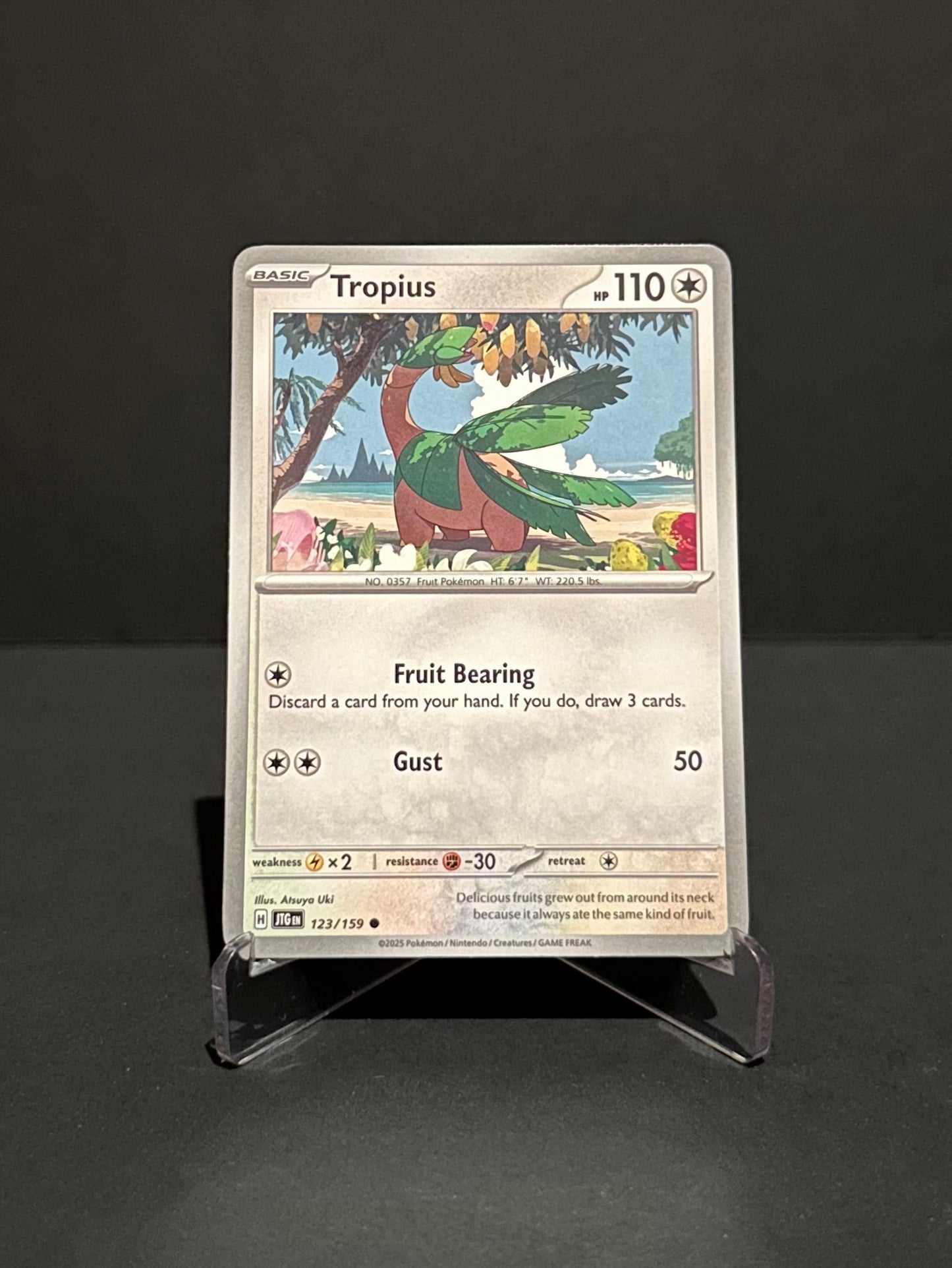 TCG Single: Tropius - Journey Together