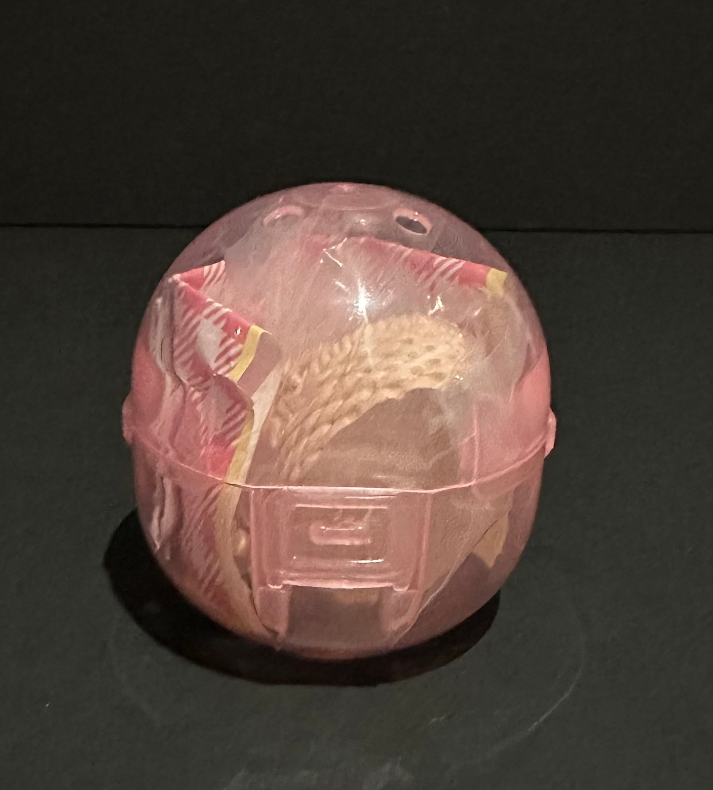 Pokemon Gacha: Skitty (Pokemon Picnic 2) series