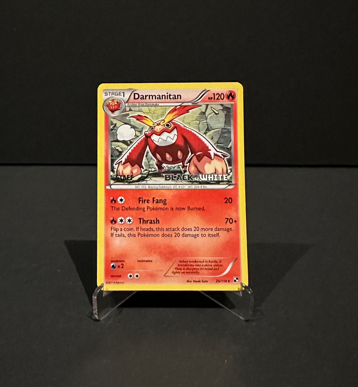 TCG Single: Darmanitan (STAFF) - Pre Release Promo