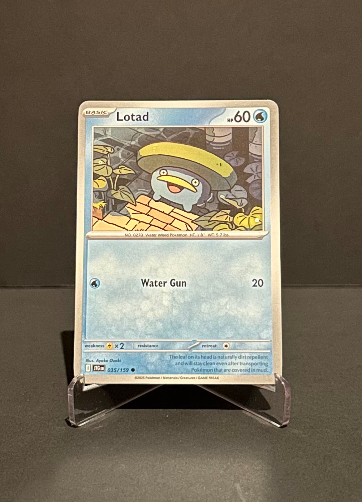TCG Single: Lotad - Journey Together