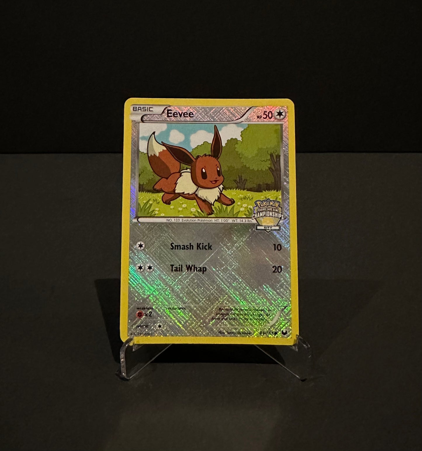 City Championships promo: Eevee
