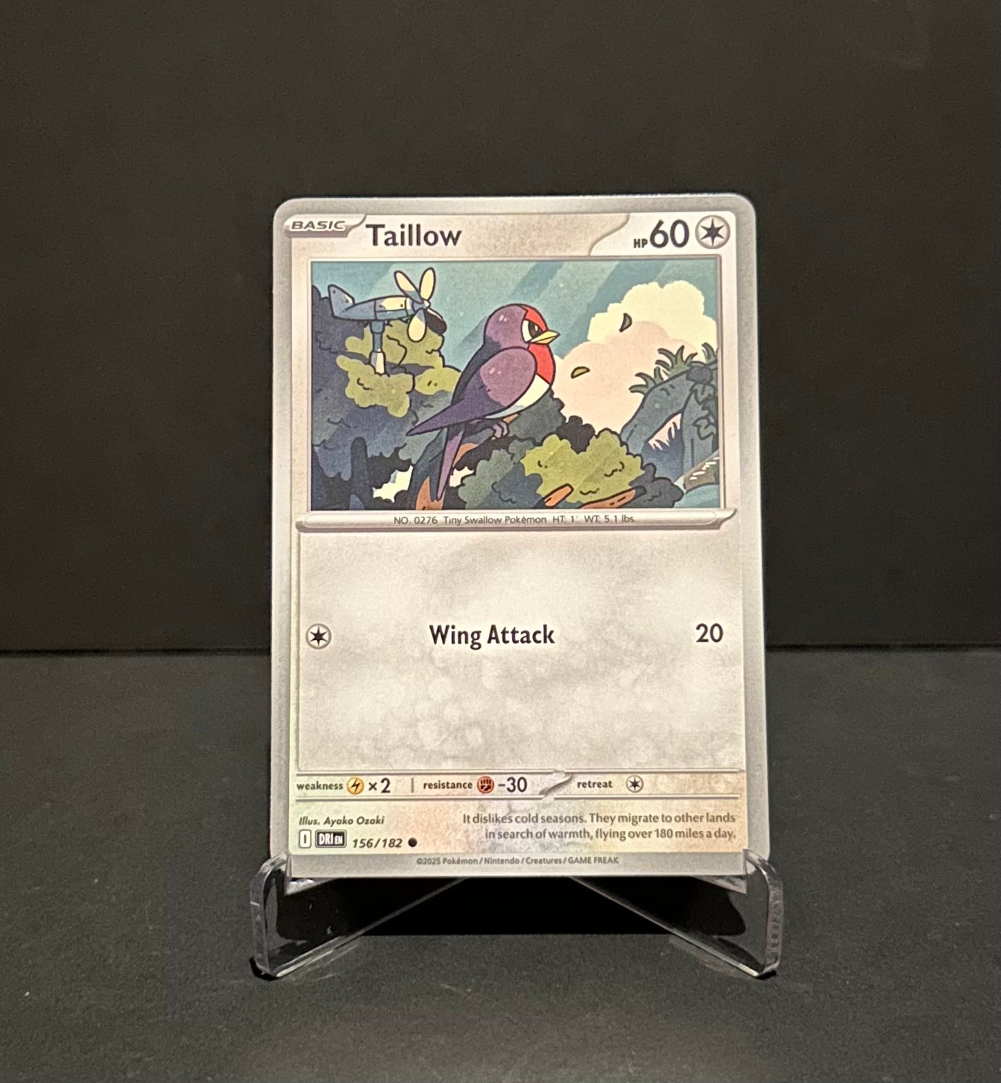 TCG Single: Taillow - Destined Rivals