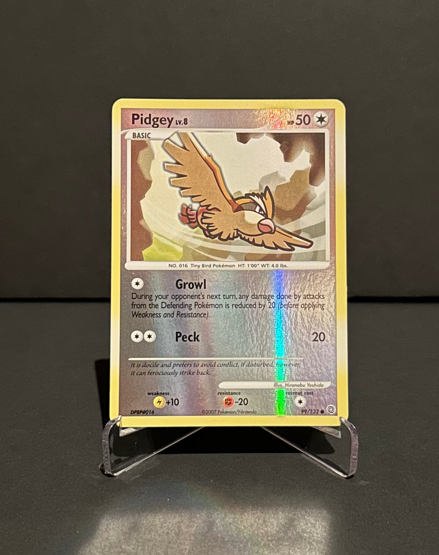 TCG Single: Pidgey (RH) - Secret Wonders