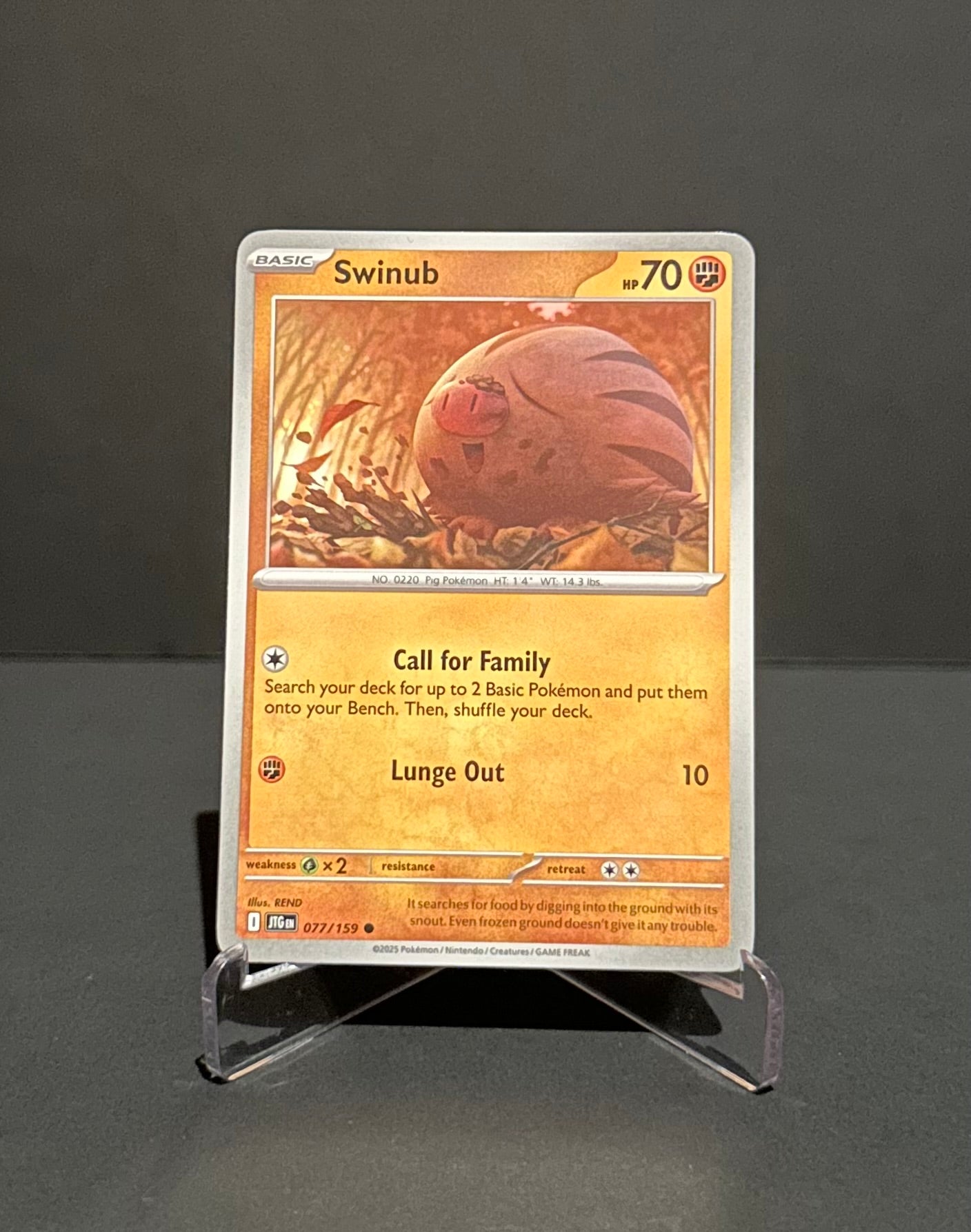 TCG Single: Swinub - Journey Together