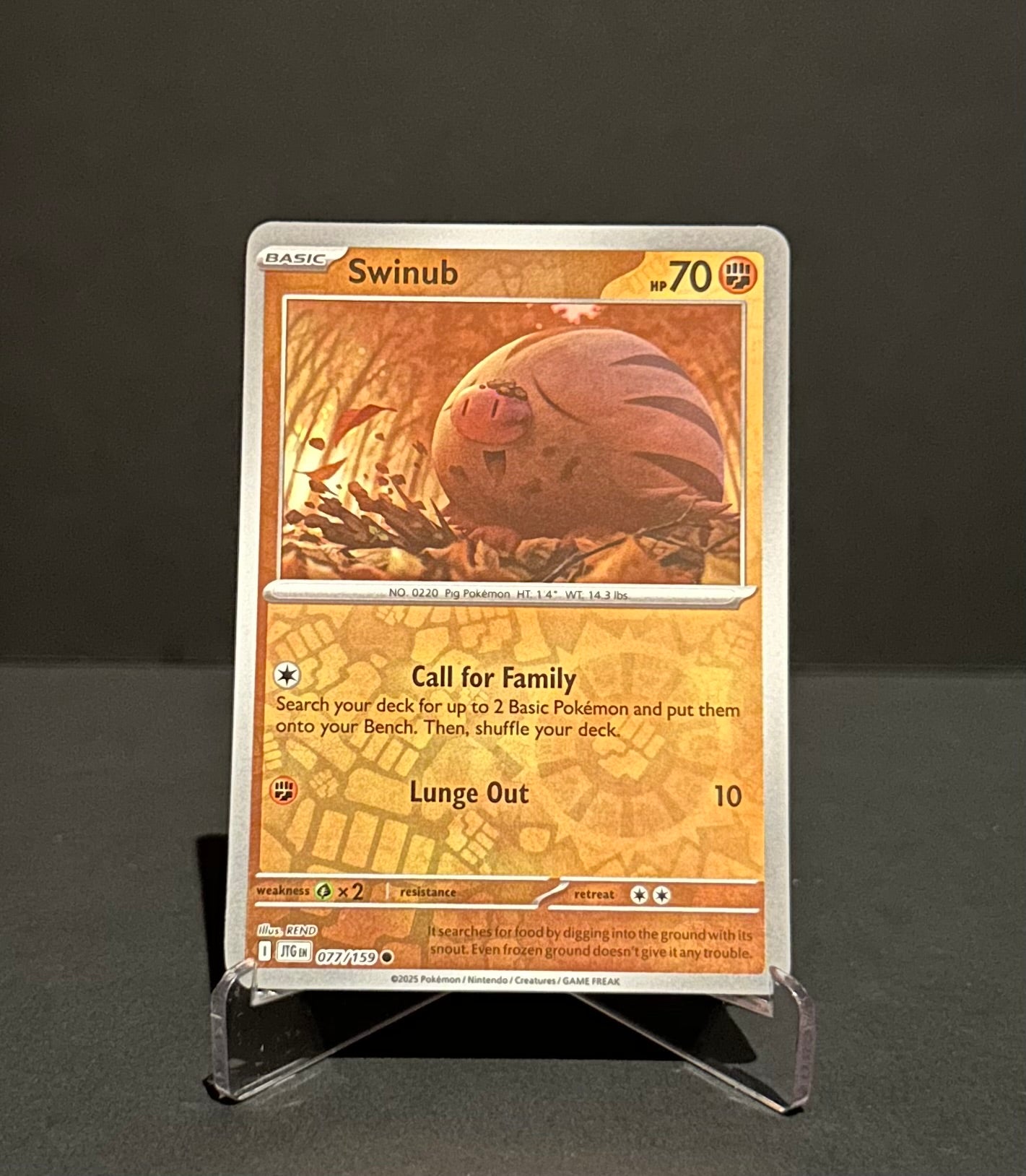TCG Single: Swinub (RH) - Journey Together