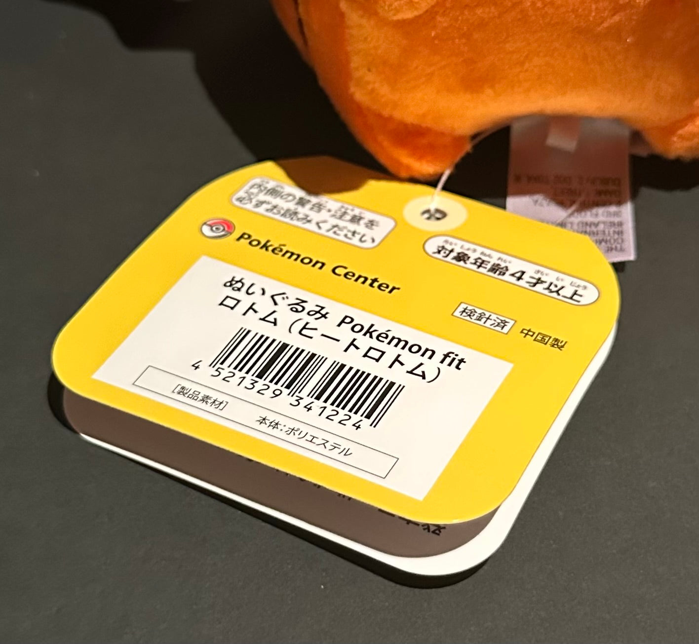 Heat Rotom (Pokemon Fit)