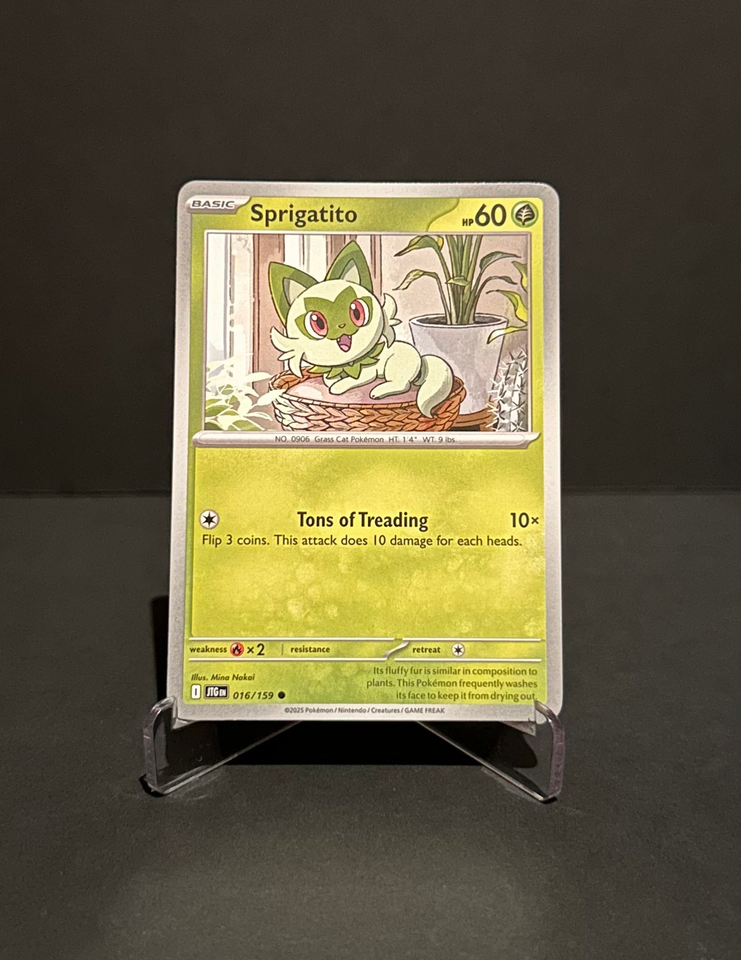 TCG Single: Sprigatito - Journey Together