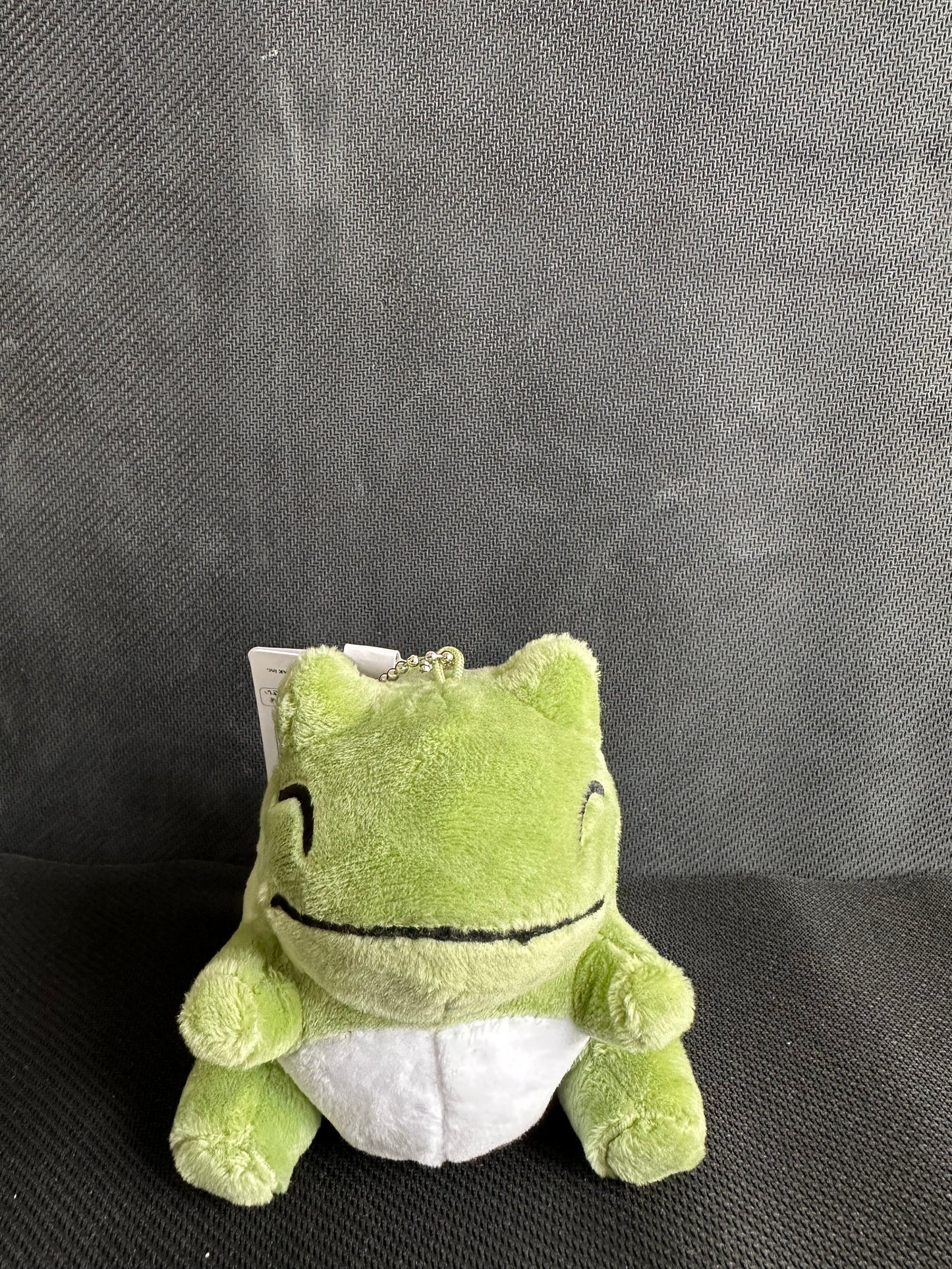 Substitute (plush) Keychain