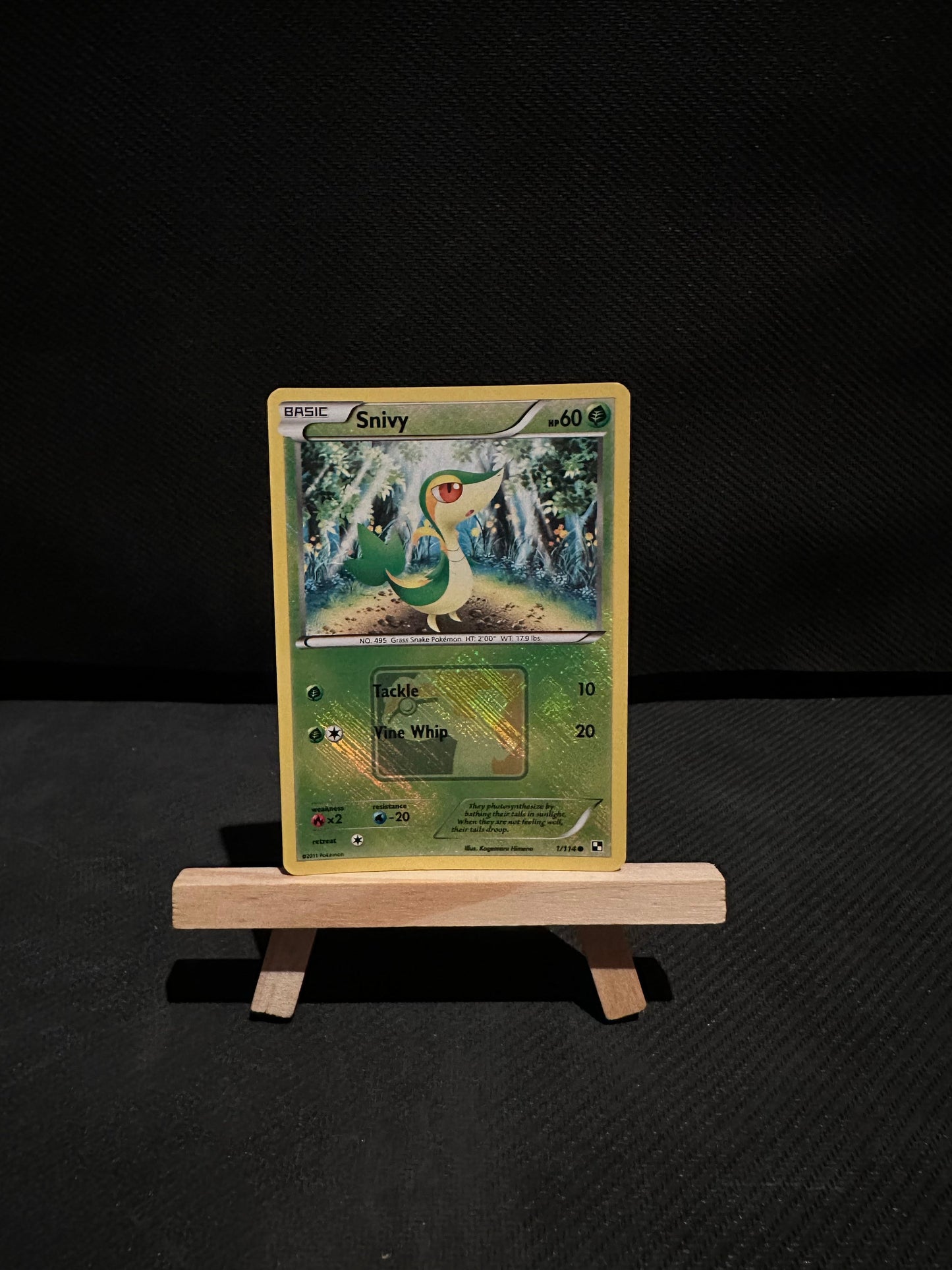 League Promo: Snivy