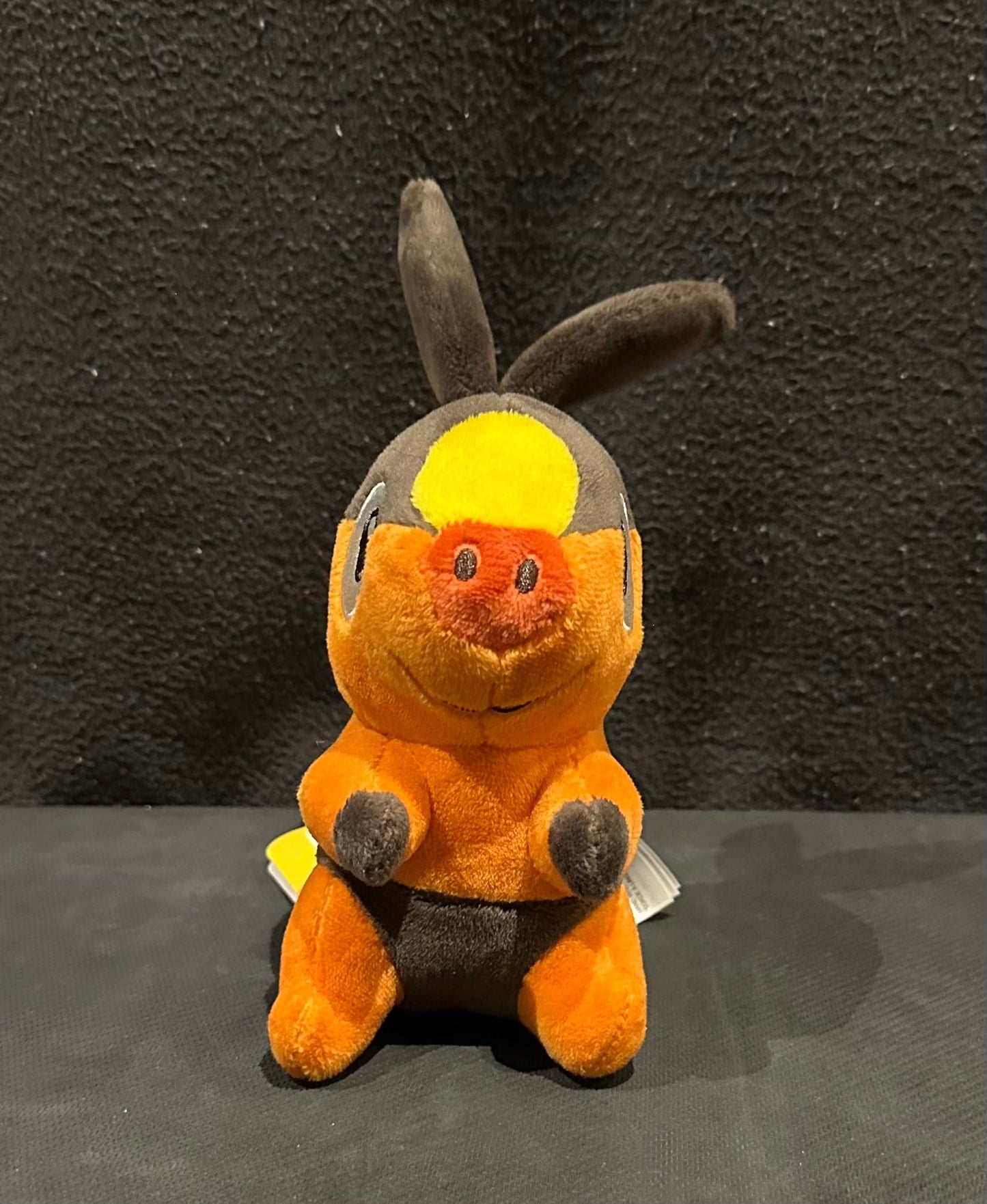 Tepig (Pokémon Fit)