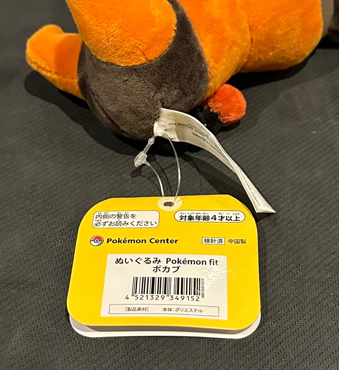 Tepig (Pokémon Fit)