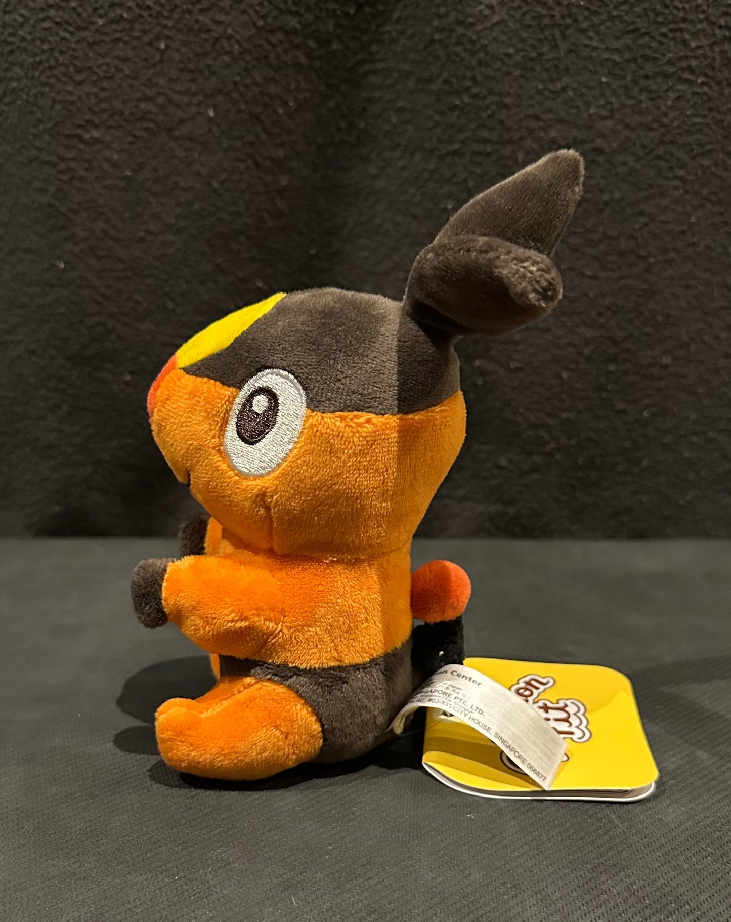 Tepig (Pokémon Fit)