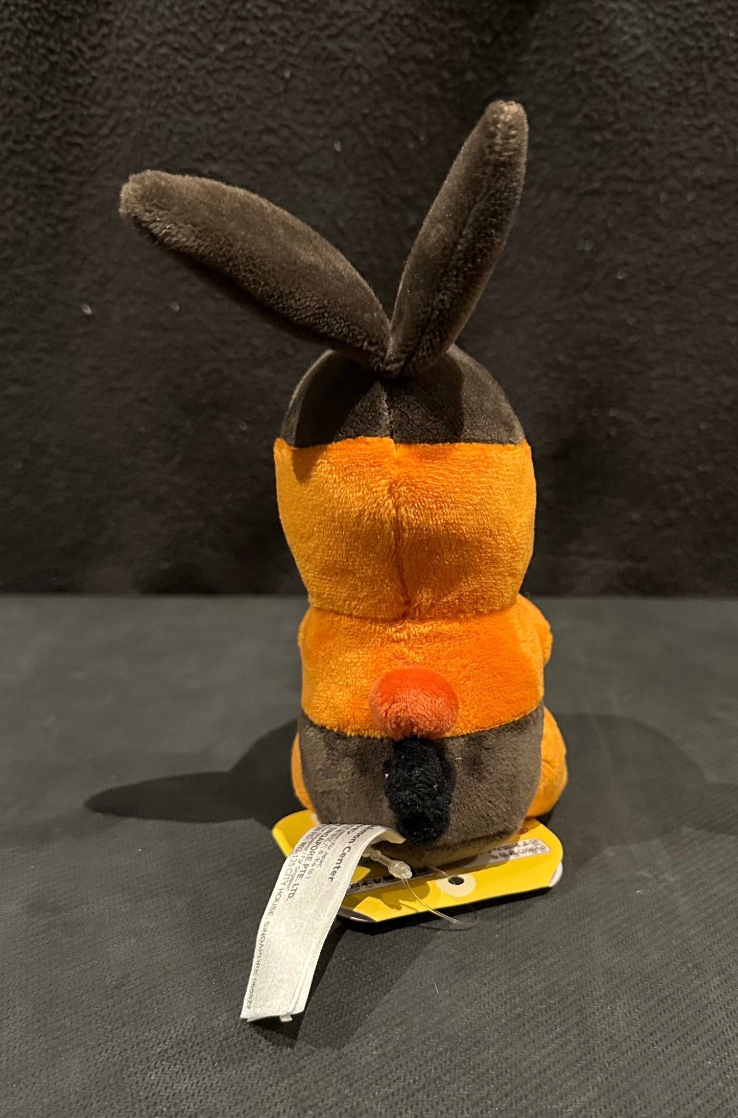 Tepig (Pokémon Fit)