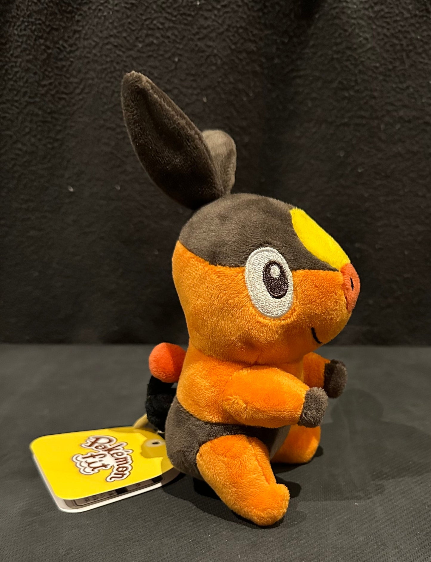 Tepig (Pokémon Fit)