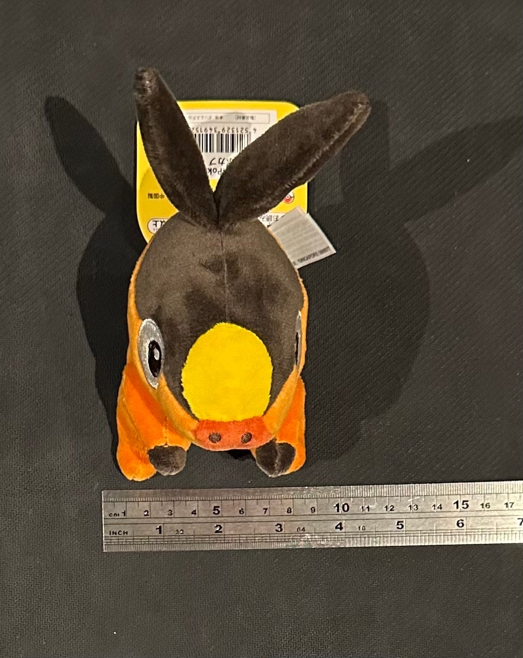 Tepig (Pokémon Fit)