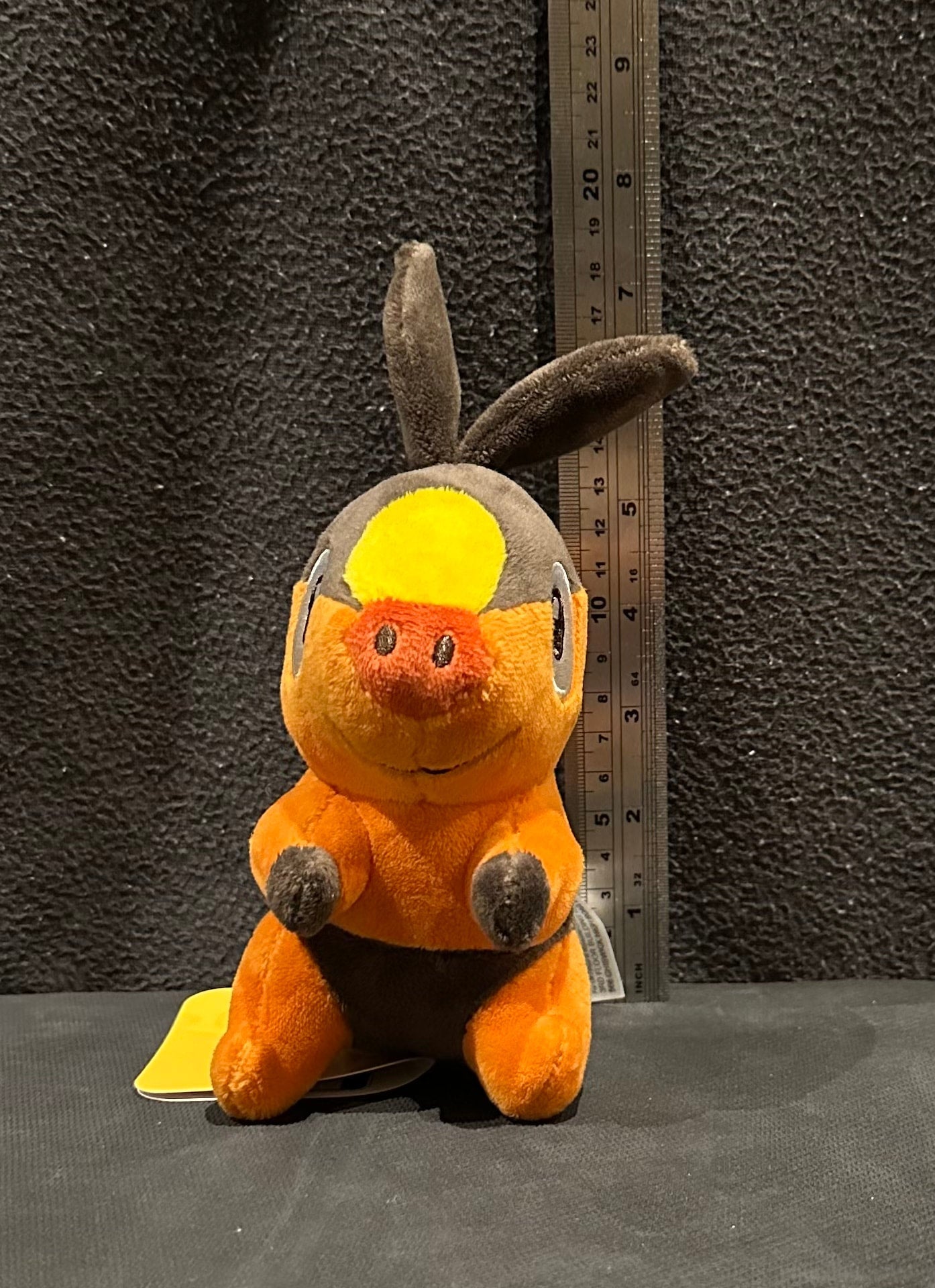 Tepig (Pokémon Fit)