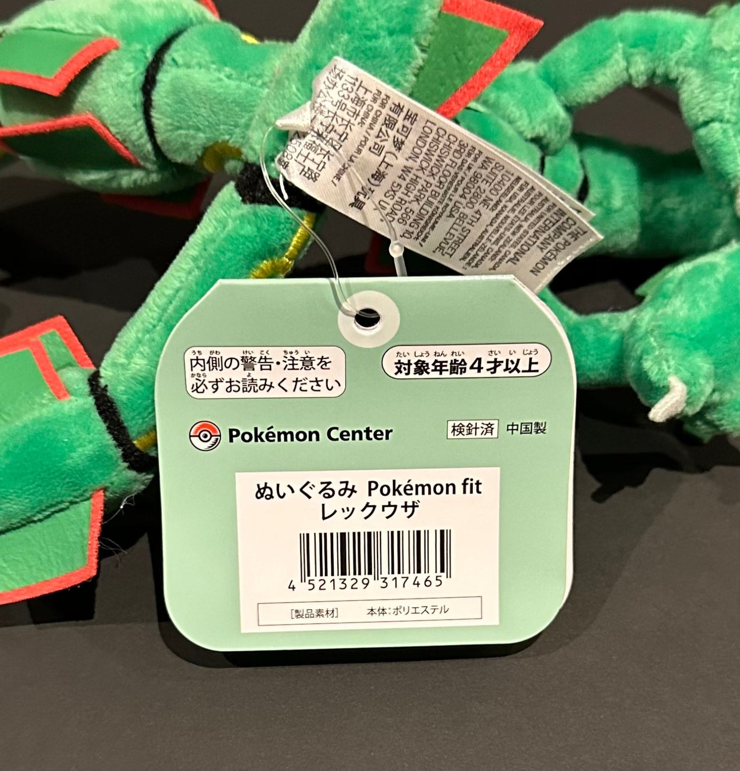 Rayquaza (Pokémon Fit)