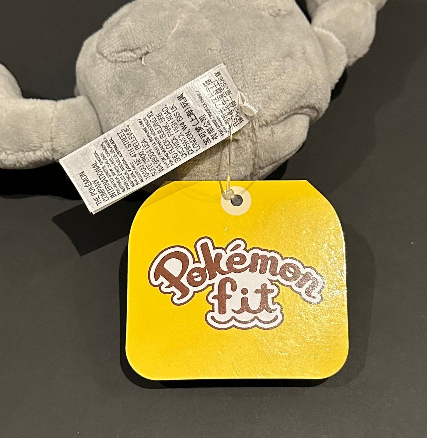 Geodude (Pokémon Fit)