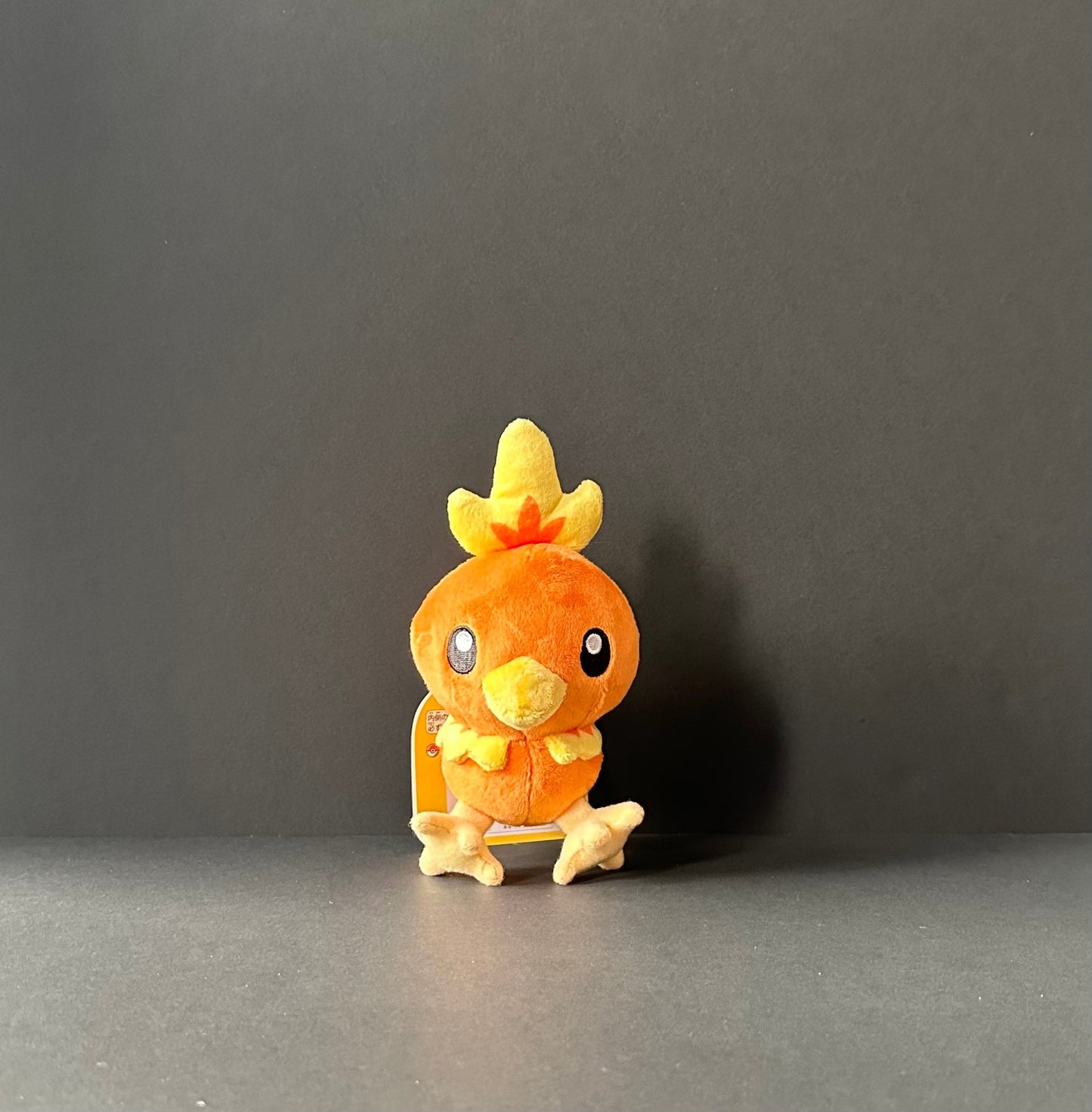 Torchic (Pokémon Fit)