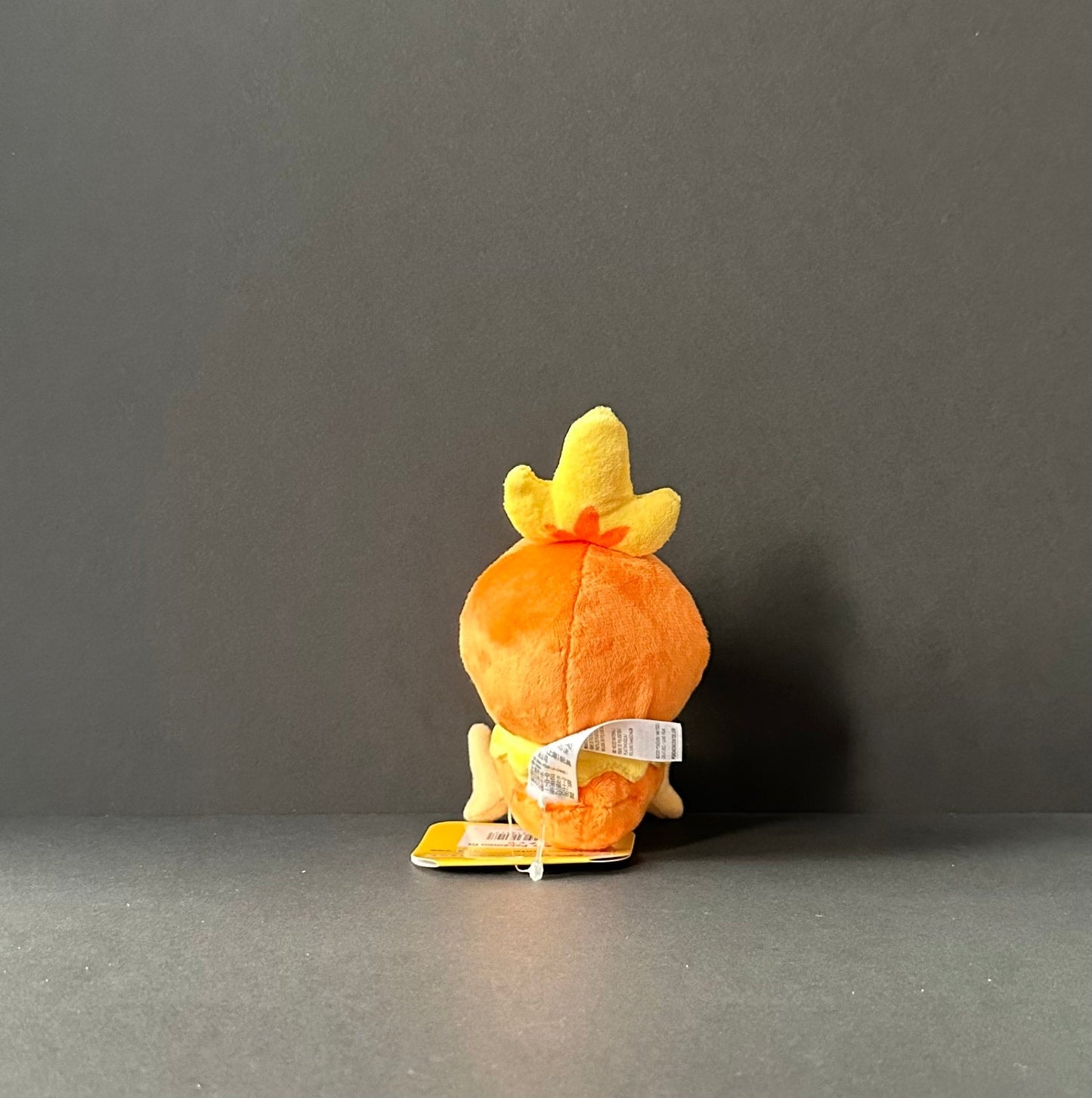 Torchic (Pokémon Fit)