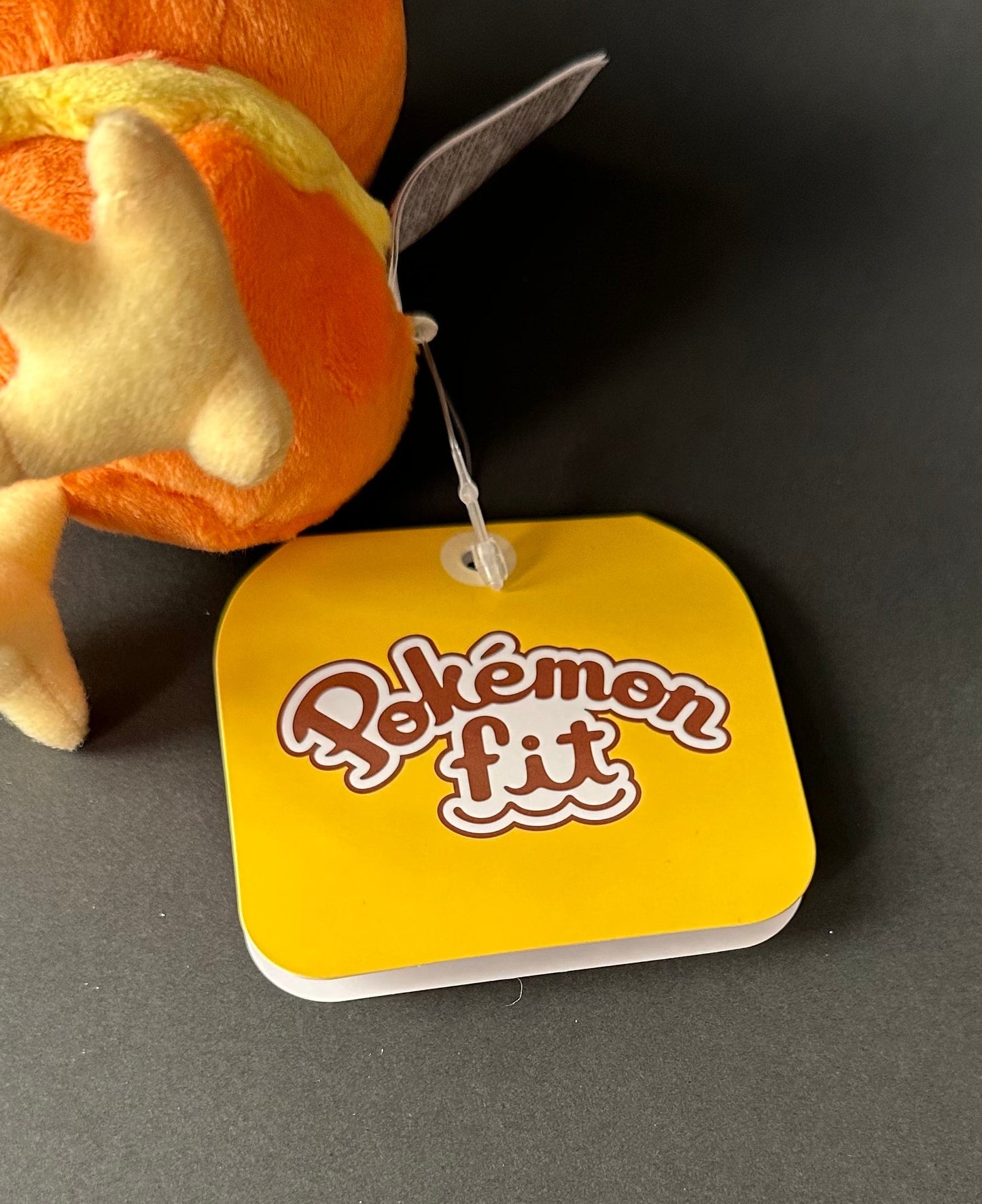 Torchic (Pokémon Fit)