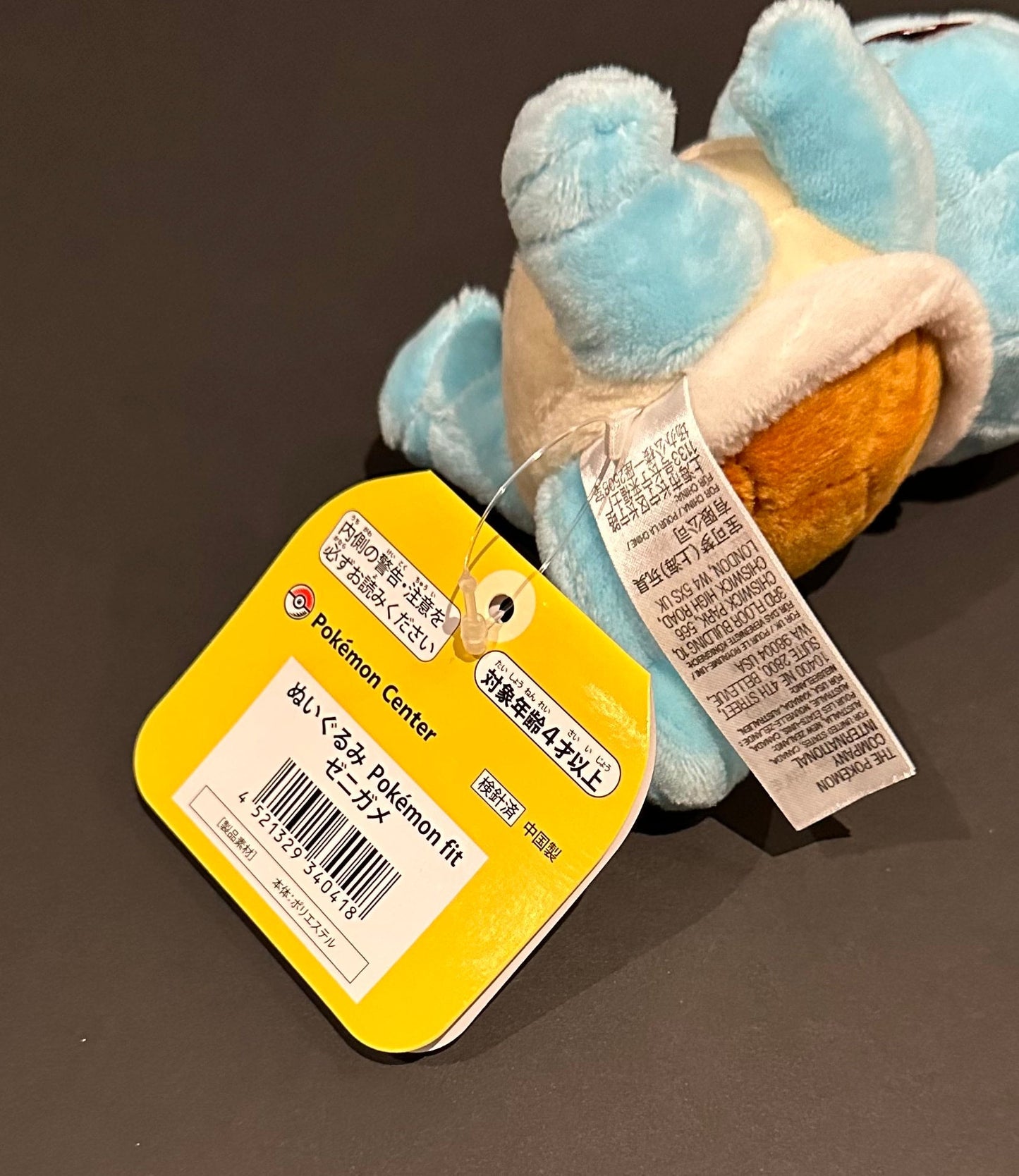 Squirtle (Pokémon Fit)