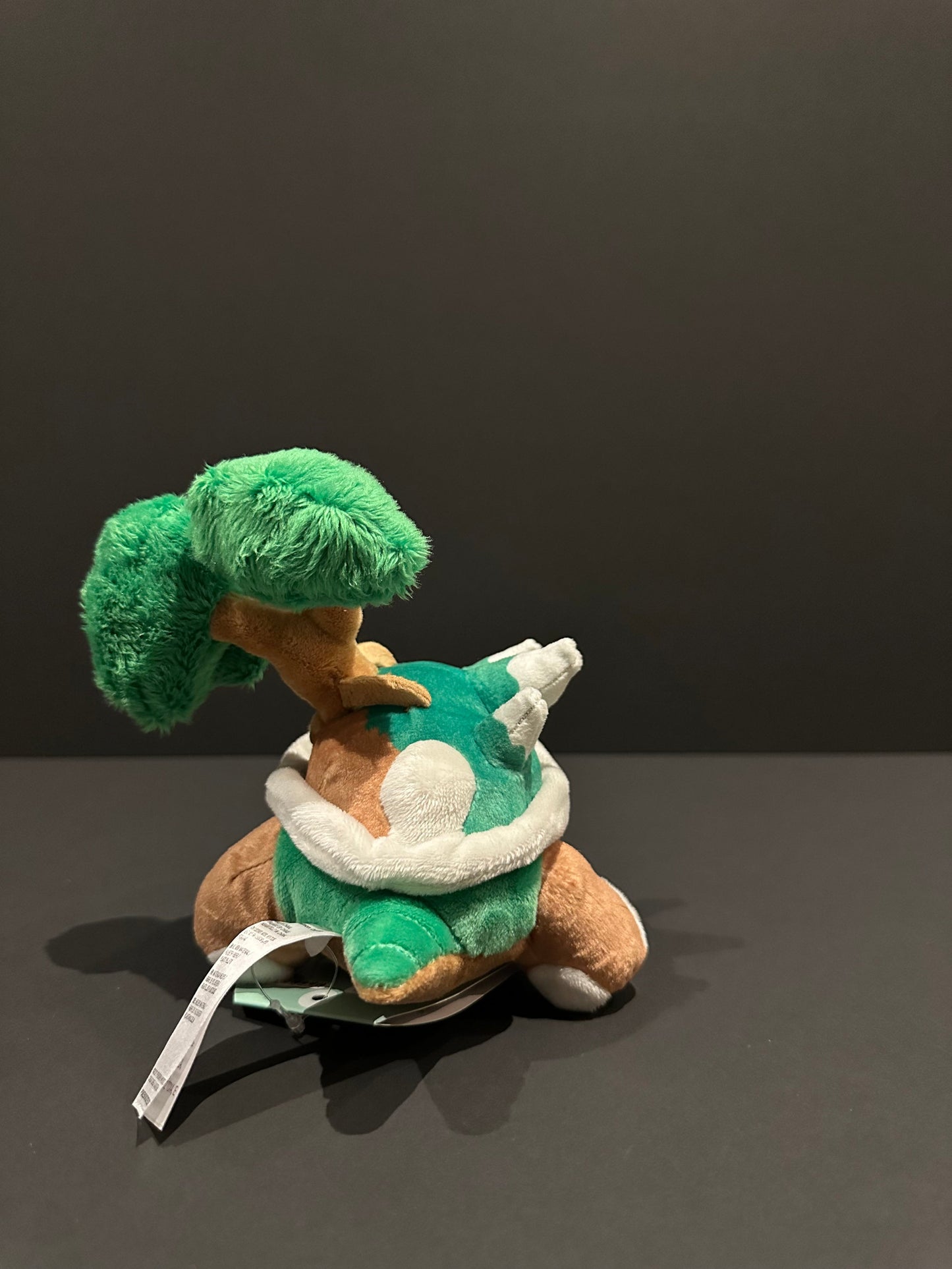 Torterra (Pokémon Fit)