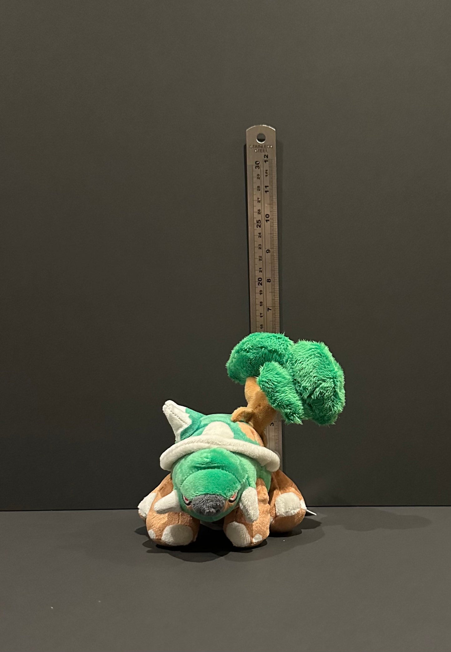 Torterra (Pokémon Fit)