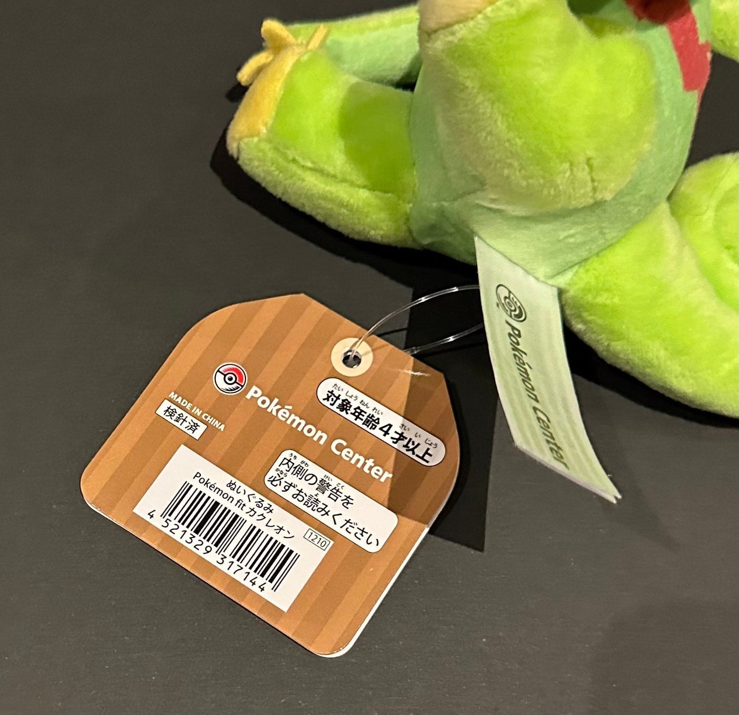 Kecleon (Pokémon Fit)