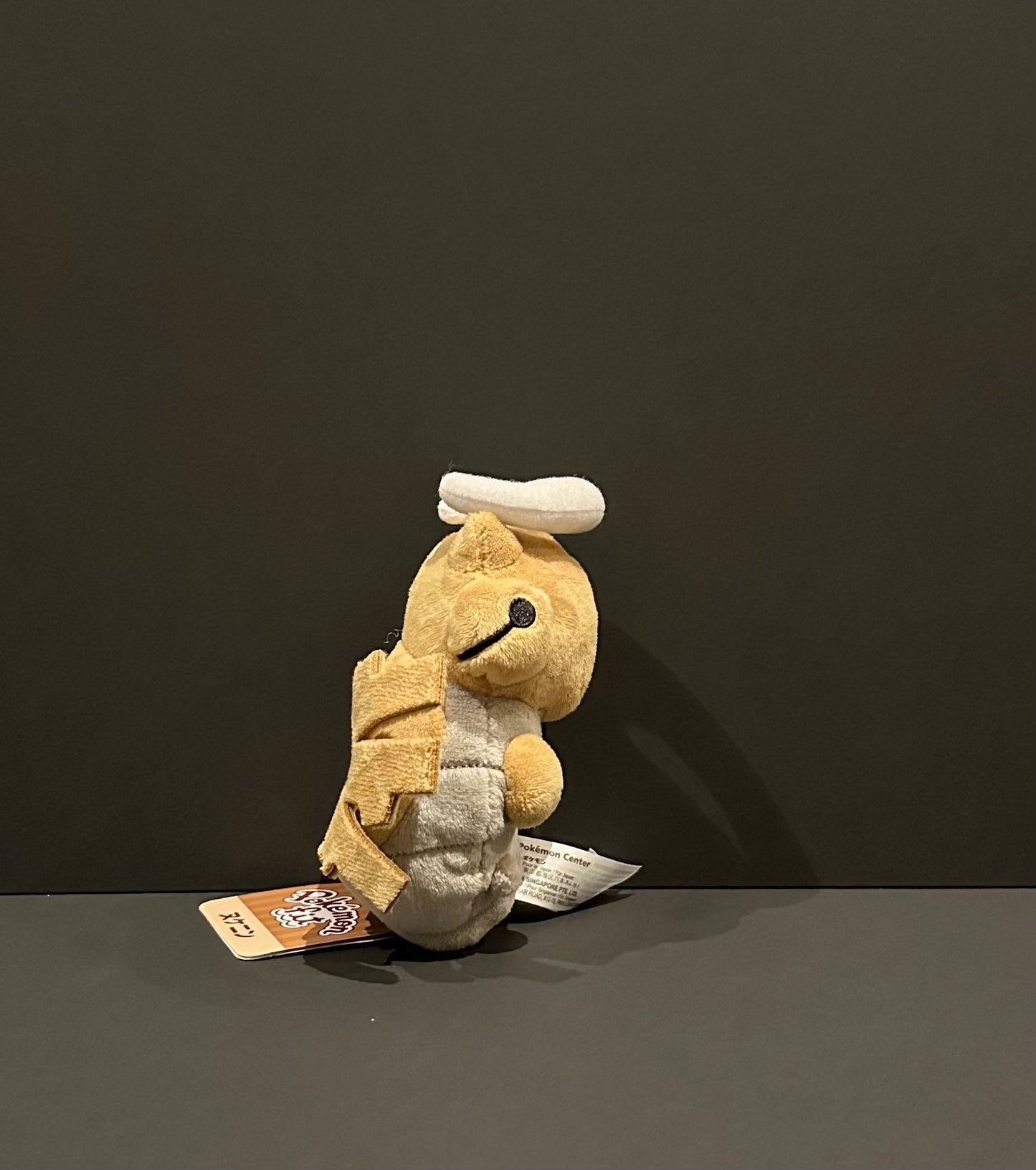 Shedinja (Pokémon Fit)