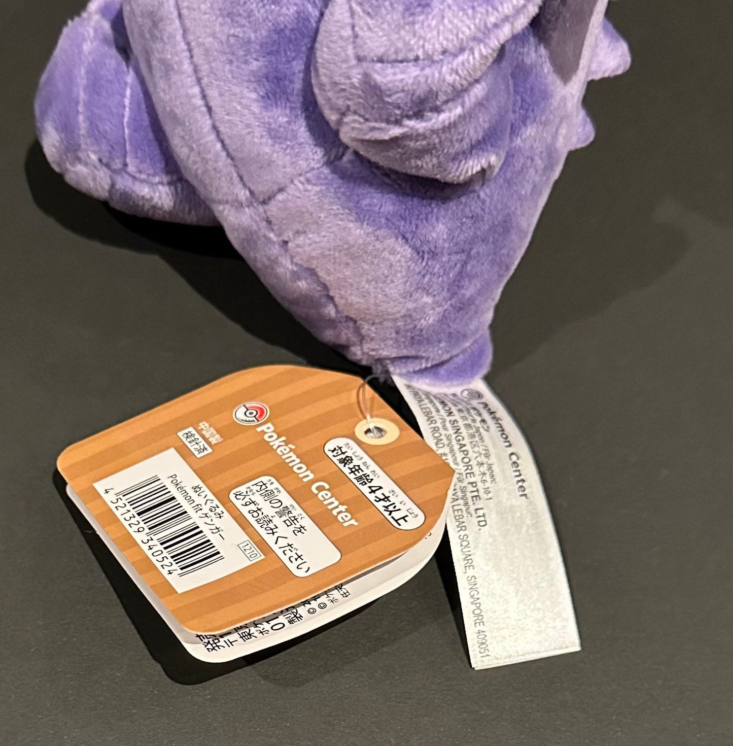 Gengar (Pokémon Fit)