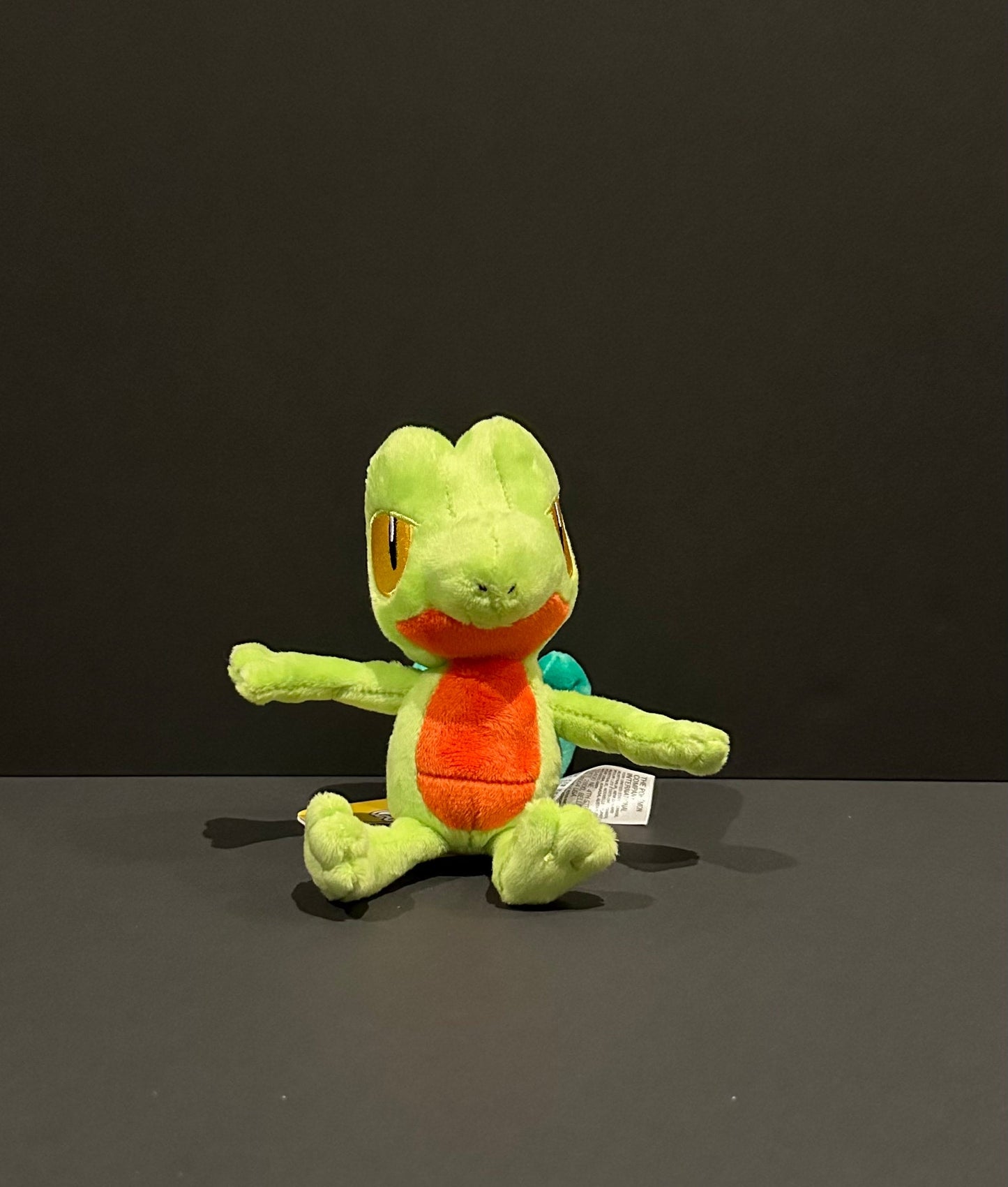 Treecko (Pokémon Fit)