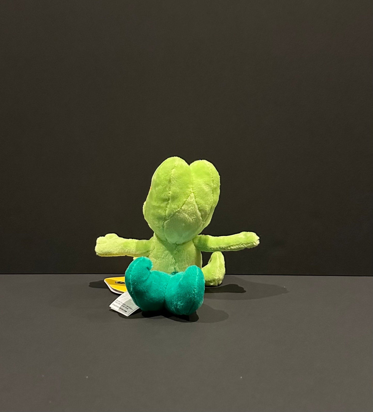Treecko (Pokémon Fit)