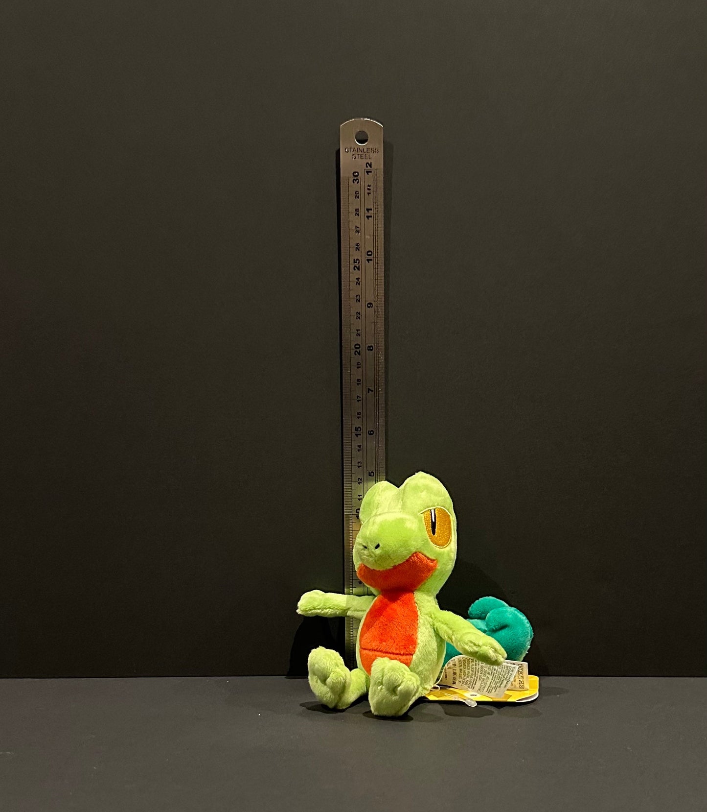 Treecko (Pokémon Fit)