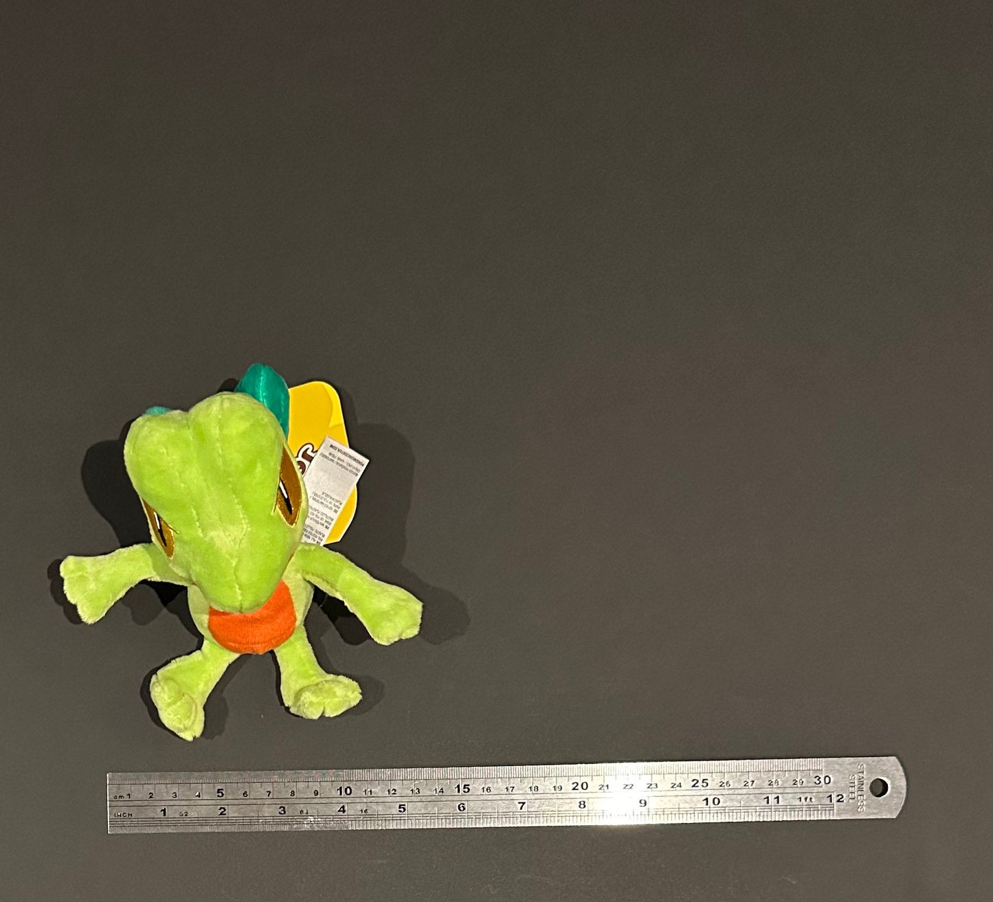Treecko (Pokémon Fit)