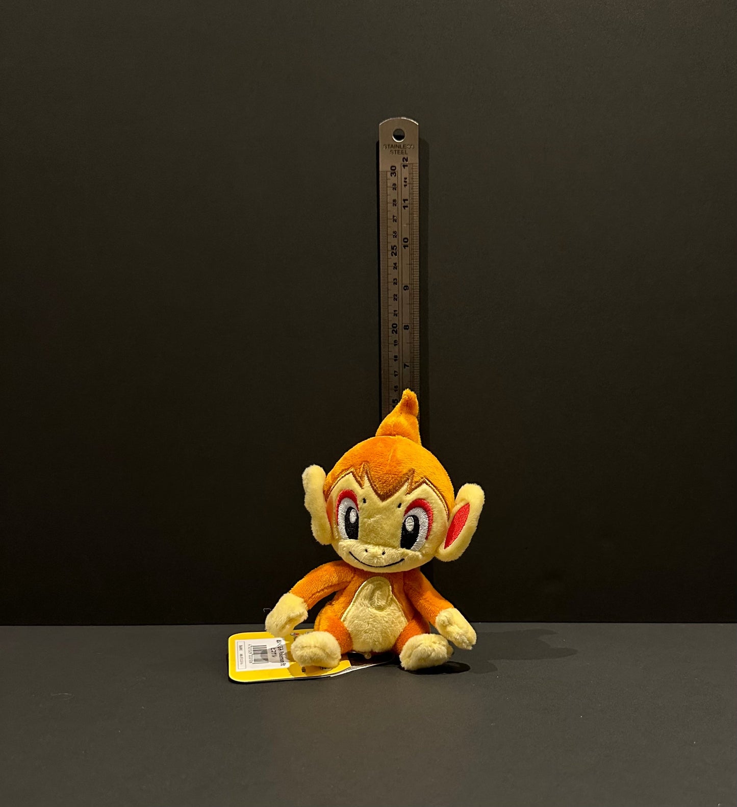 Chimchar (Pokémon Fit)