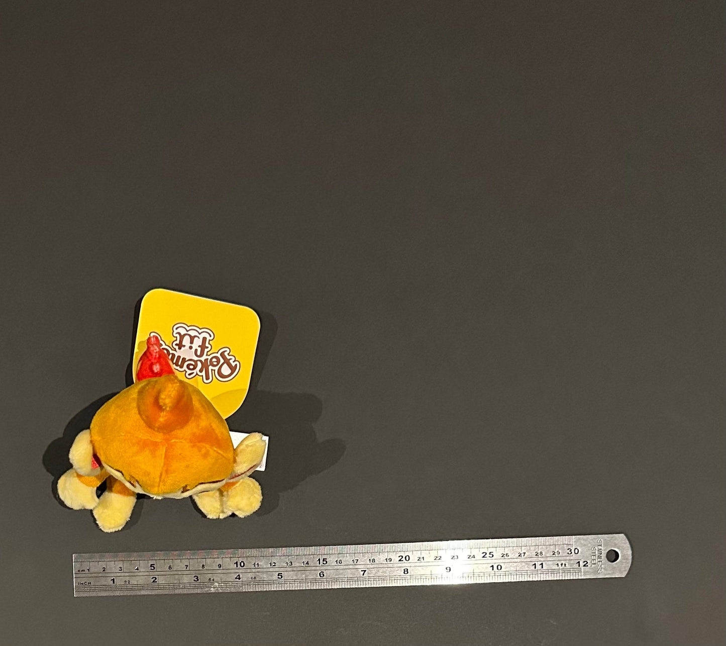 Chimchar (Pokémon Fit)