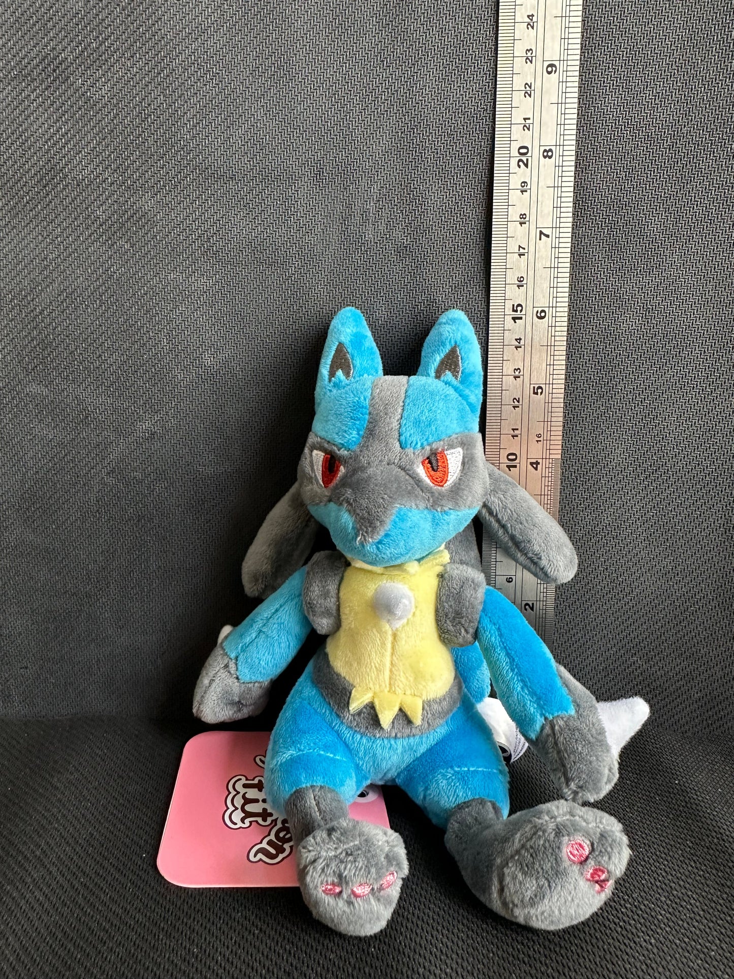 Lucario (Pokemon Fit)